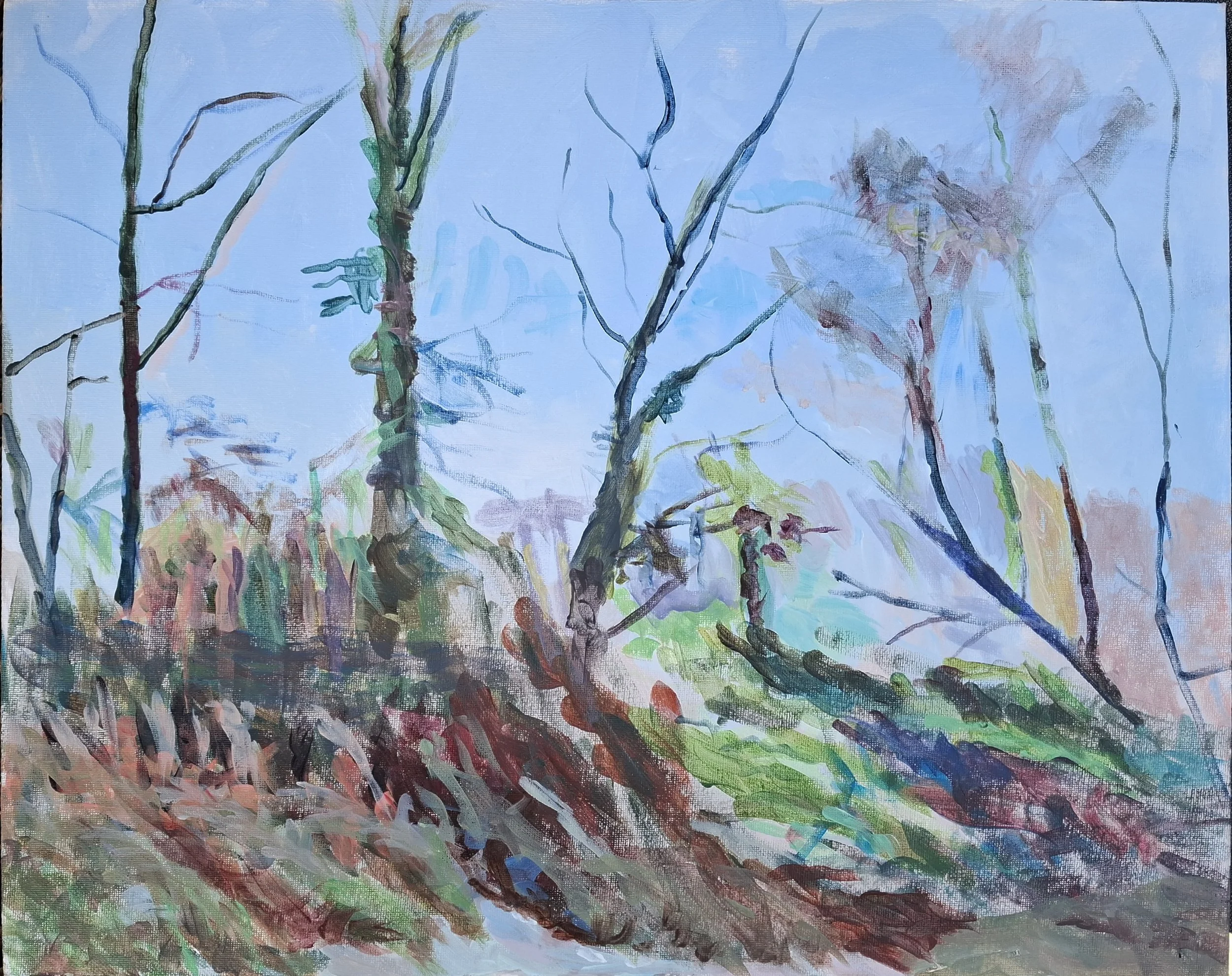 Dedham, sunny winter morning