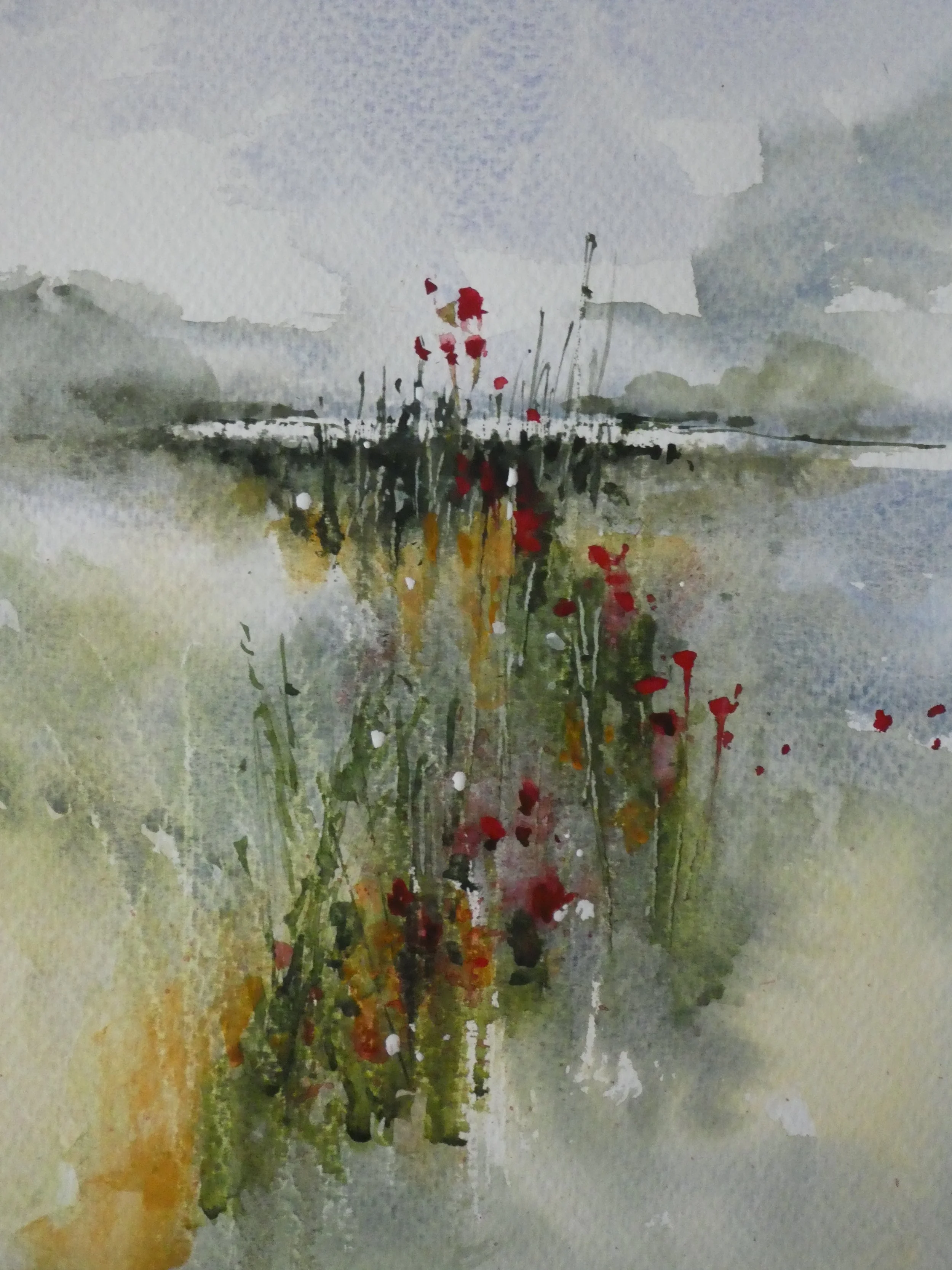 Poppy meadow