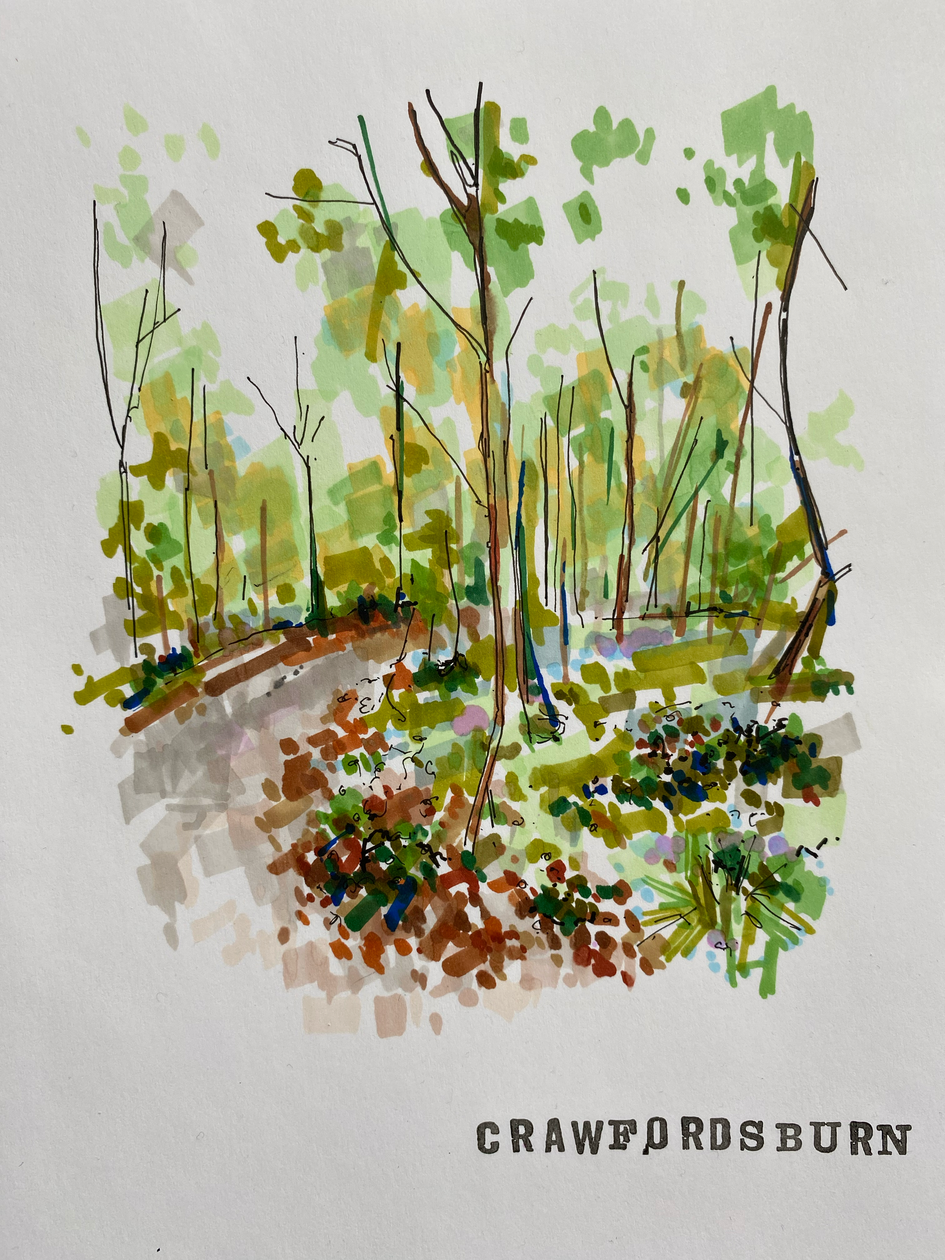 Crawfordsburn