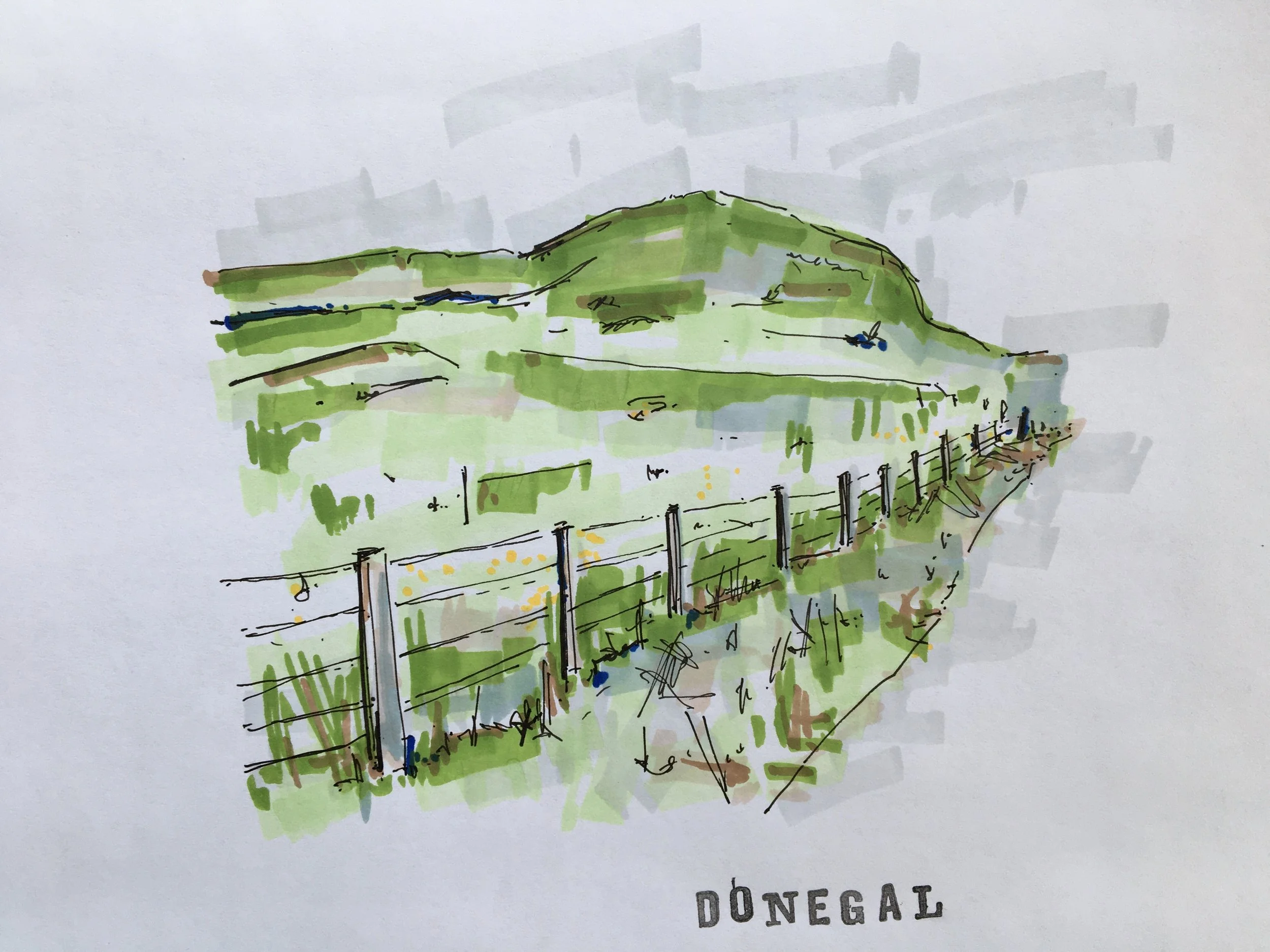 Donegal