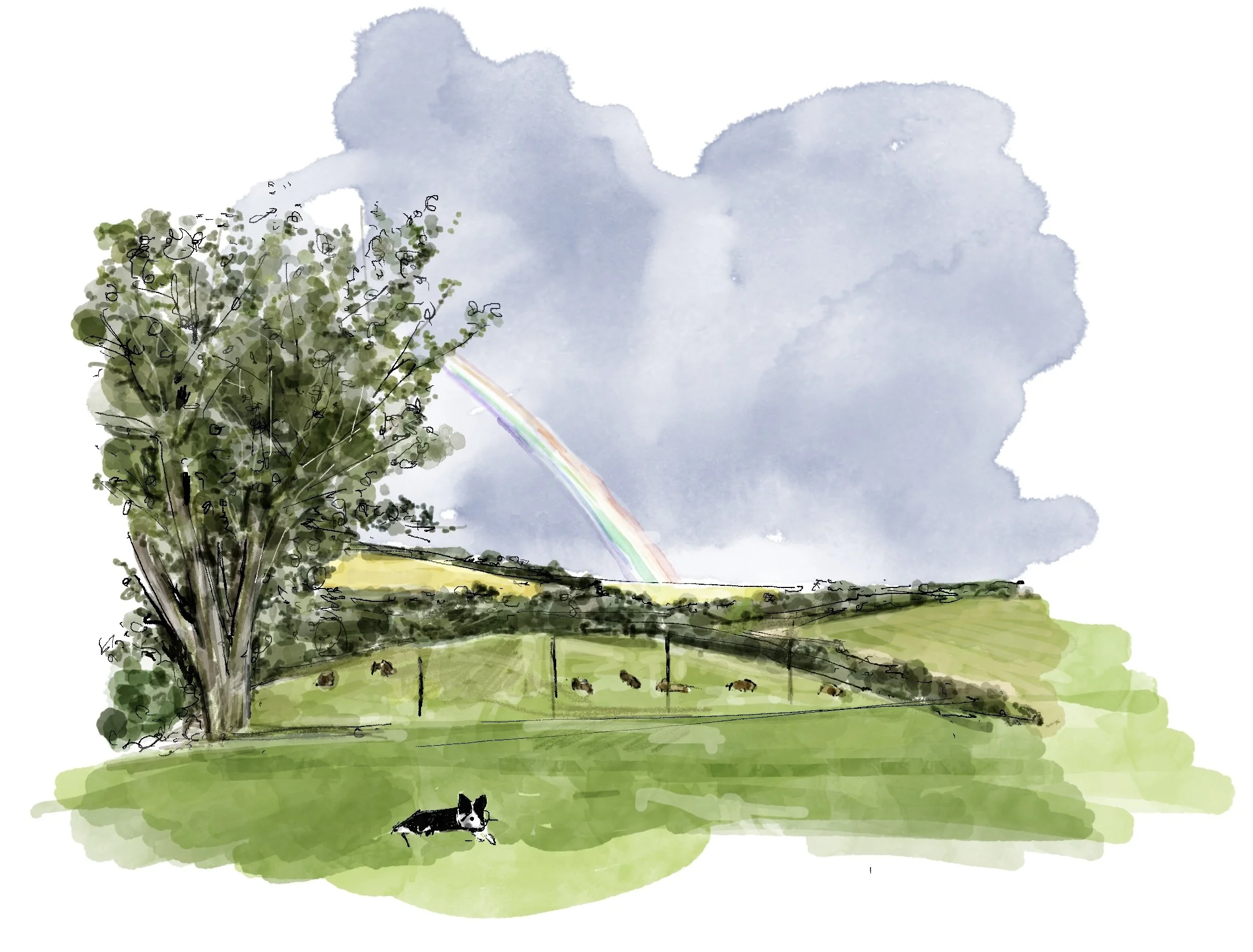 The Nelson Farm