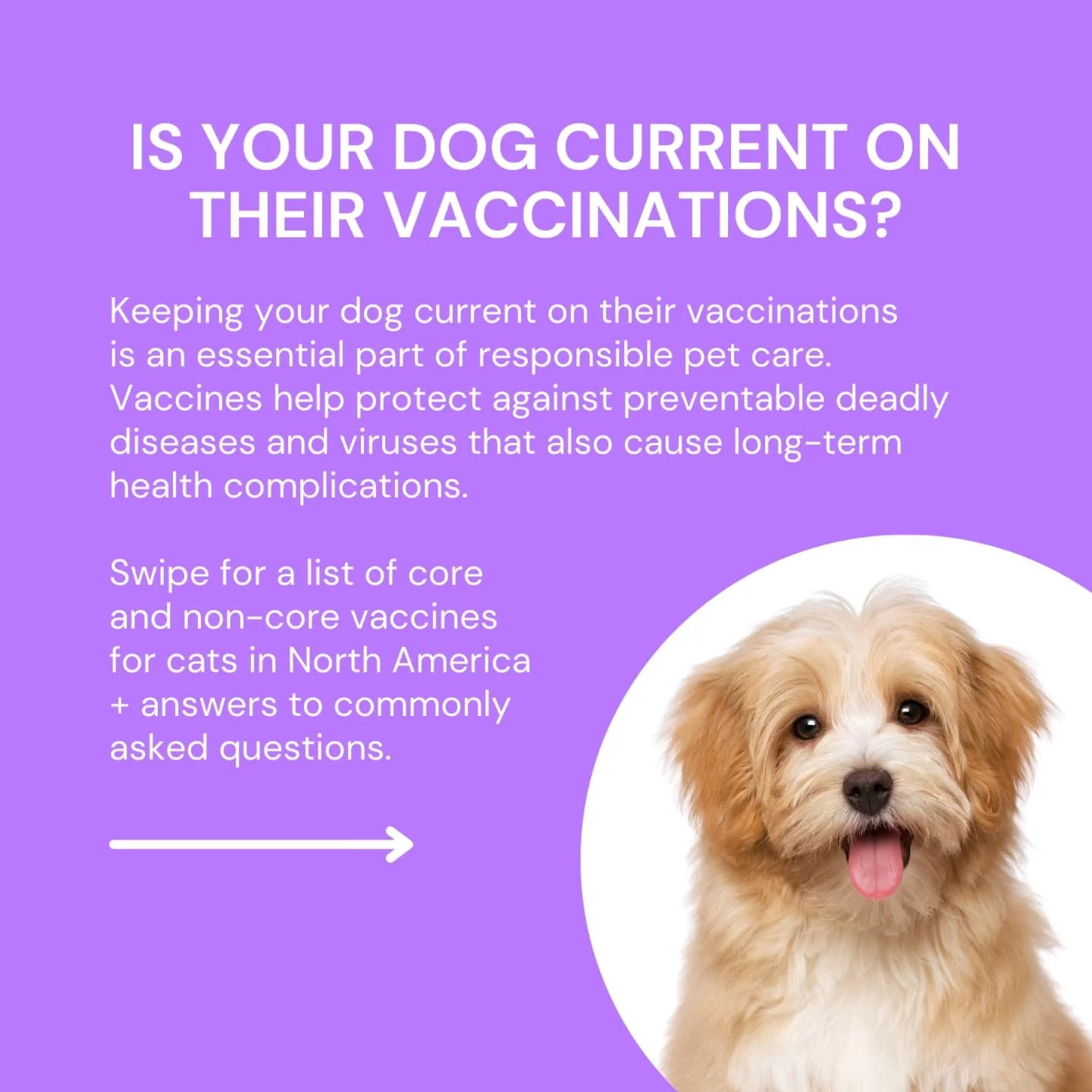Is your pet due for a visit? Give us a call or download the Petdesk app to see what your pet is due for and schedule an appointment!
#woodburyanimalhospital #woodburymn #petdesk