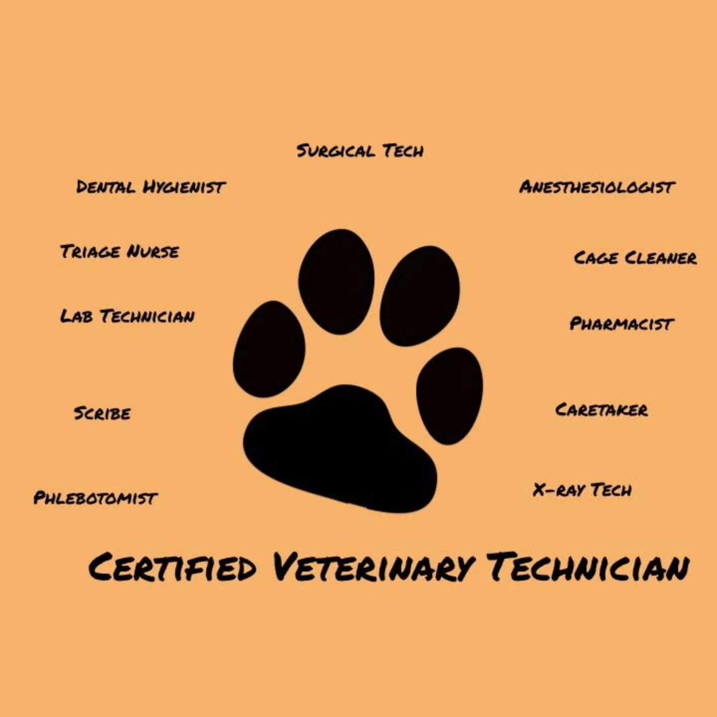 It's national Veterinary Technician week! Our Certified Technicians work hard to keep the clinic running smoothly. Please help us in showing them appreciation for everything they do!
#woodburyanimalhospital #woodburymn #veterinary
