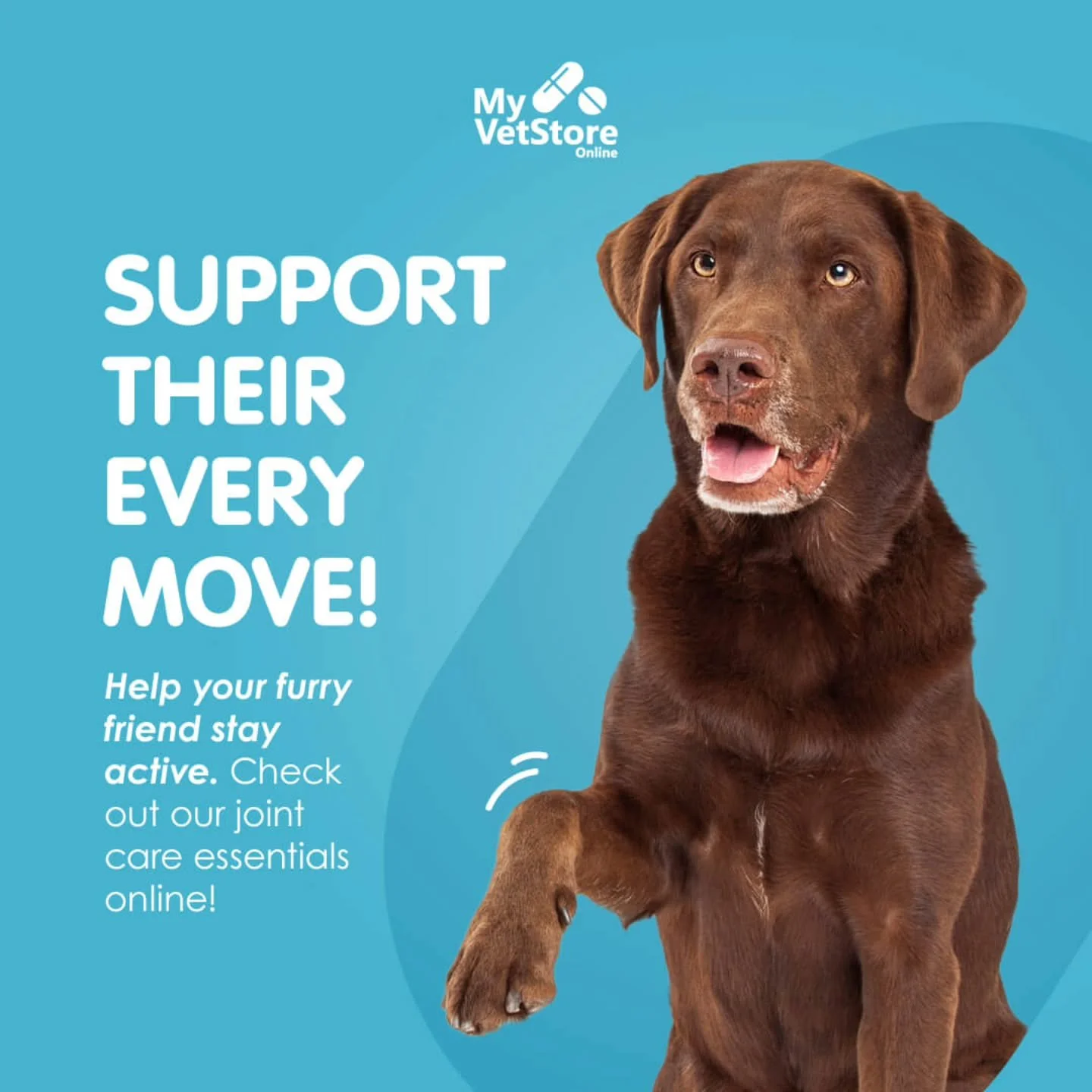From morning walks to backyard zoomies, your pup deserves to move comfortably every day. 🐾 Explore our joint care essentials and keep them feeling their best.

👉 Shop now at&nbsp;https://wah.myvetstoreonline.pharmacy/.

#myvetstoreonline #shoplocal