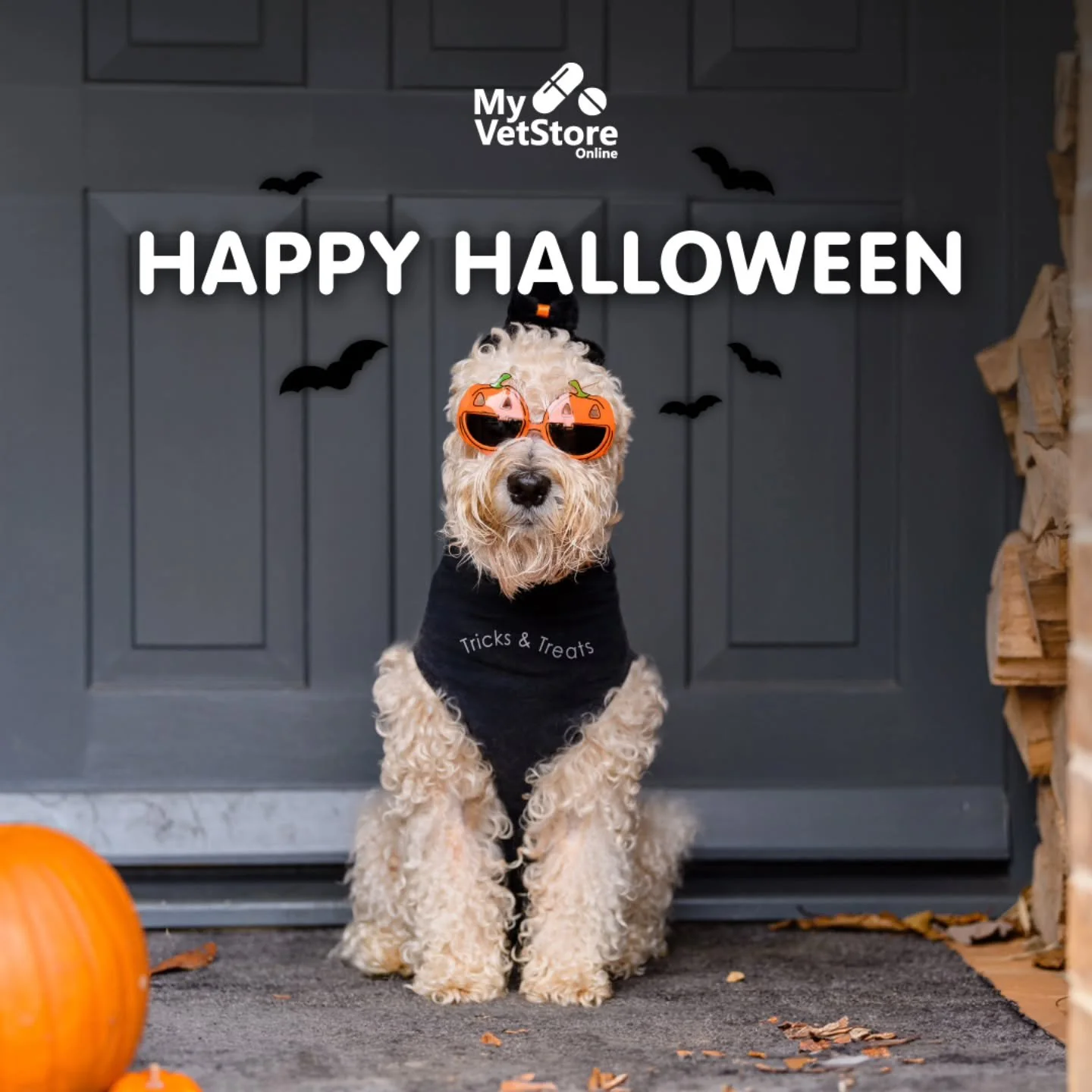 We hope you have a spook-tacular Halloween 🐾&nbsp;🎃

#woodburyanimalhospital
#woodburymn #veterinary