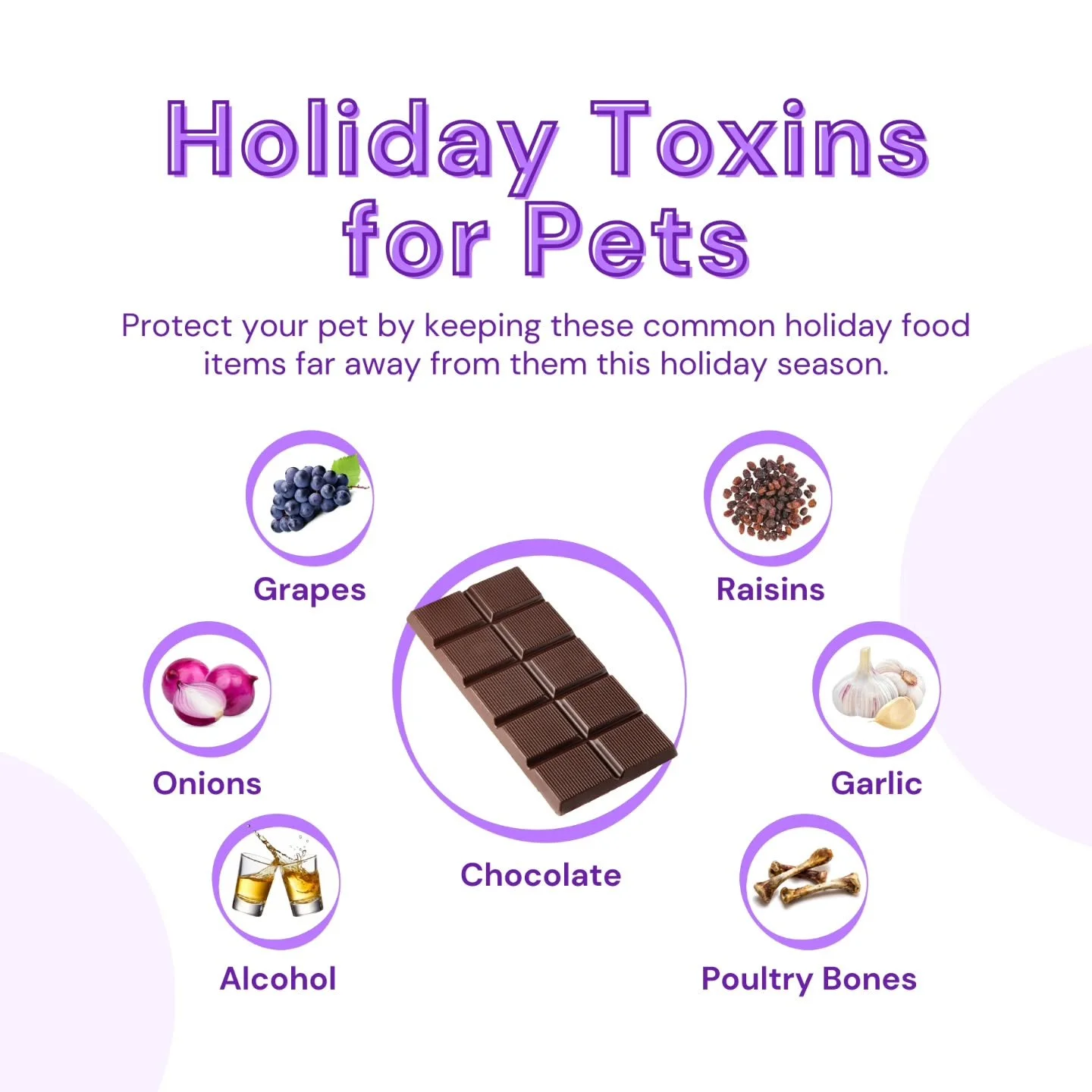 It's November and that means the holidays are right around the corner. To ensure your pets safety make sure they don't get any special treats that contain items that may be harmful to them. 
#veterinary #woodburyanimalhospital #woodburymn