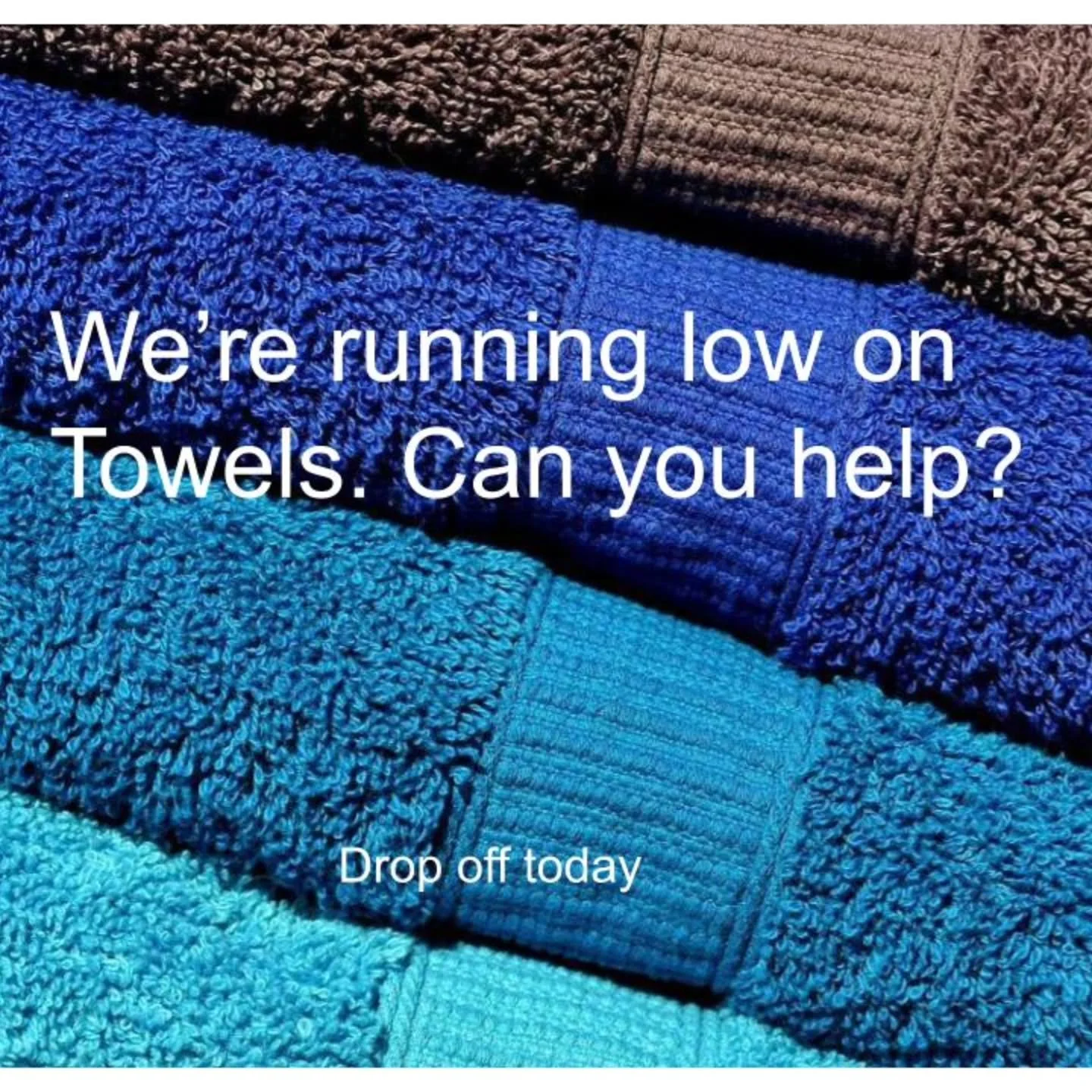 If you have any gently used towels you no longer need, we would love to have them for our patients.