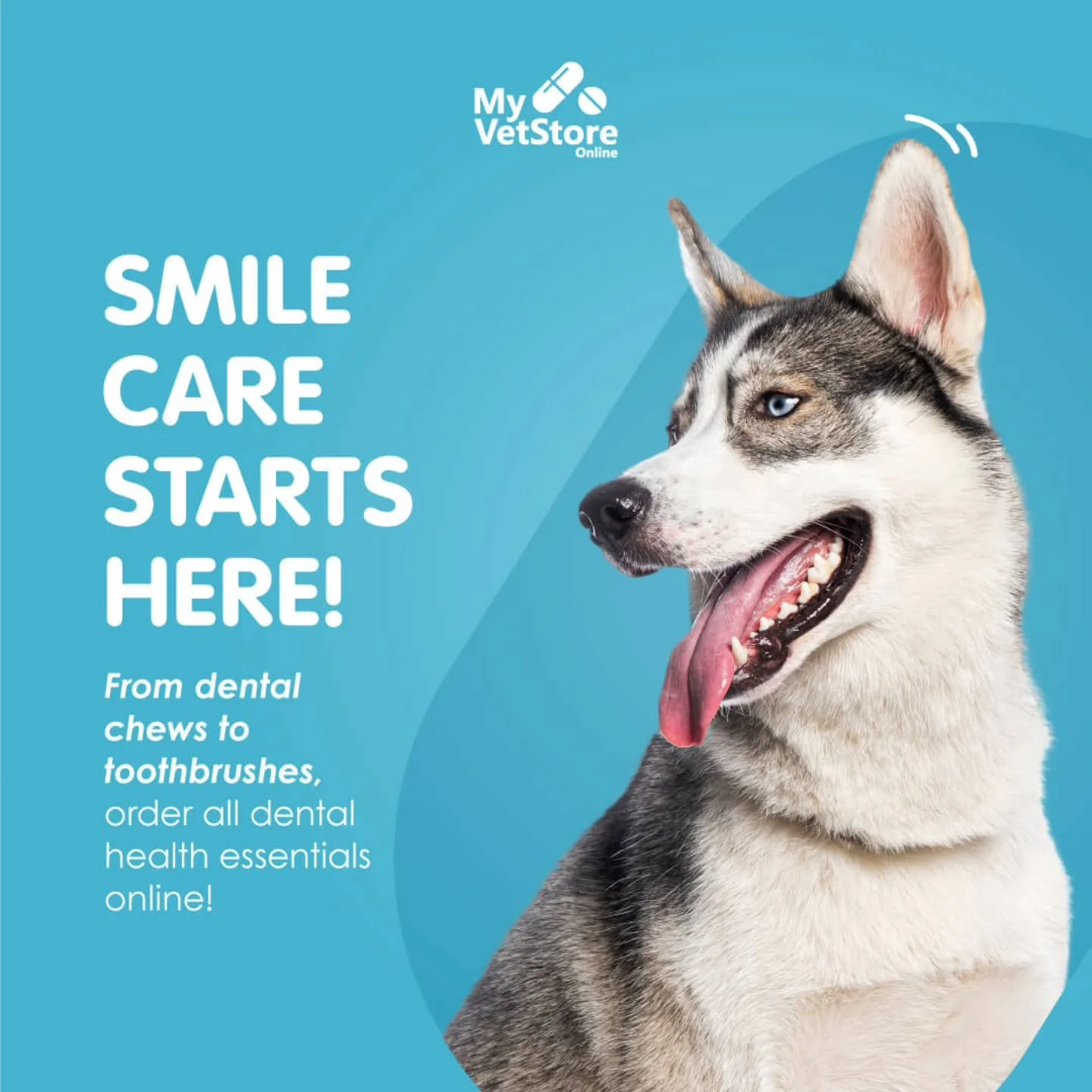 Get dental care essentials online and help keep your pet&rsquo;s smile clean and healthy.
👉 Shop now at https://wah.myvetstoreonline.pharmacy/shop

#myvetstoreonline #petdentalcare #orderonline #woodburyanimalhospital #woodburymn
