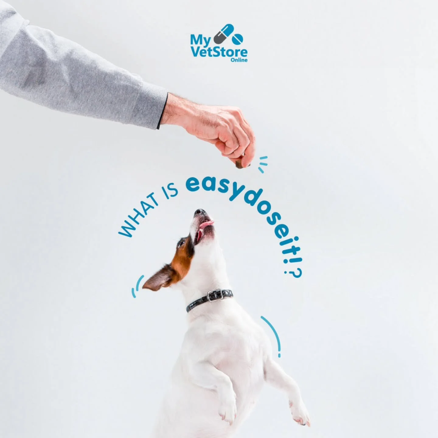 Discover the convenience of easydoseit! Each month, a single dose of preventative medication is mailed directly to you, and shipping is free. Keeping your pet protected is now easier than ever!
Get started today at https://wah.myvetstoreonline.pharma