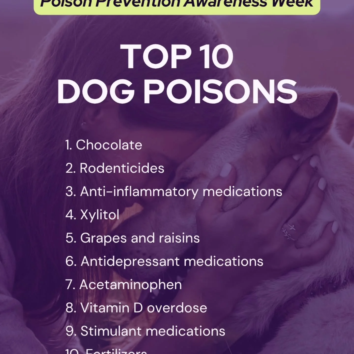This week is poison prevention awareness week. Always make sure to keep food, medications and household chemicals away from your pets. If your pet ingests something they shouldn't, it is recommended to call your veterinarian or pet poison hotline.
#w