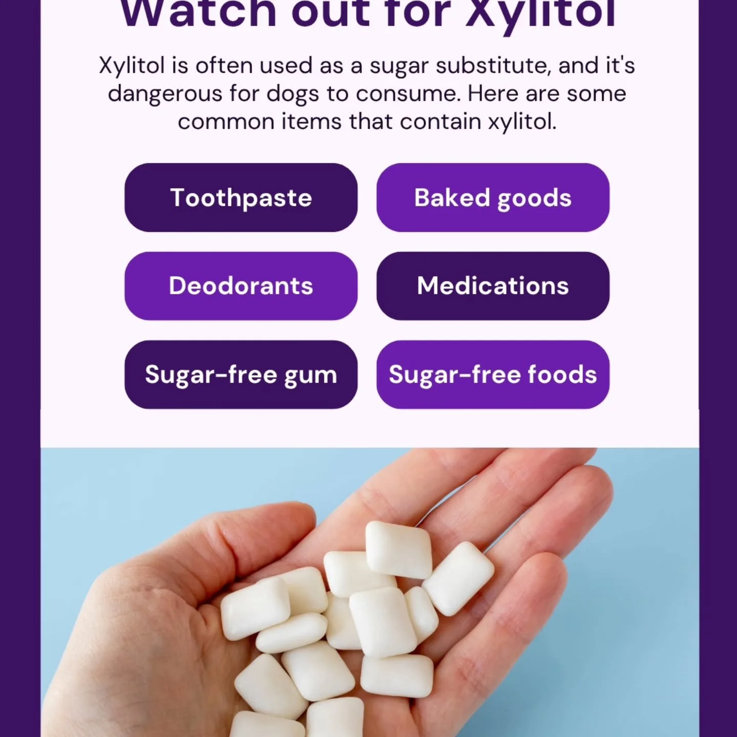 Could this deadly toxin be hiding in your house? Even ingesting 1 piece of xylitol based gum could cause your pets blood sugar to plummet and require a lengthy hospital stay to recover. Make sure to read all labels before giving your pet a treat and 