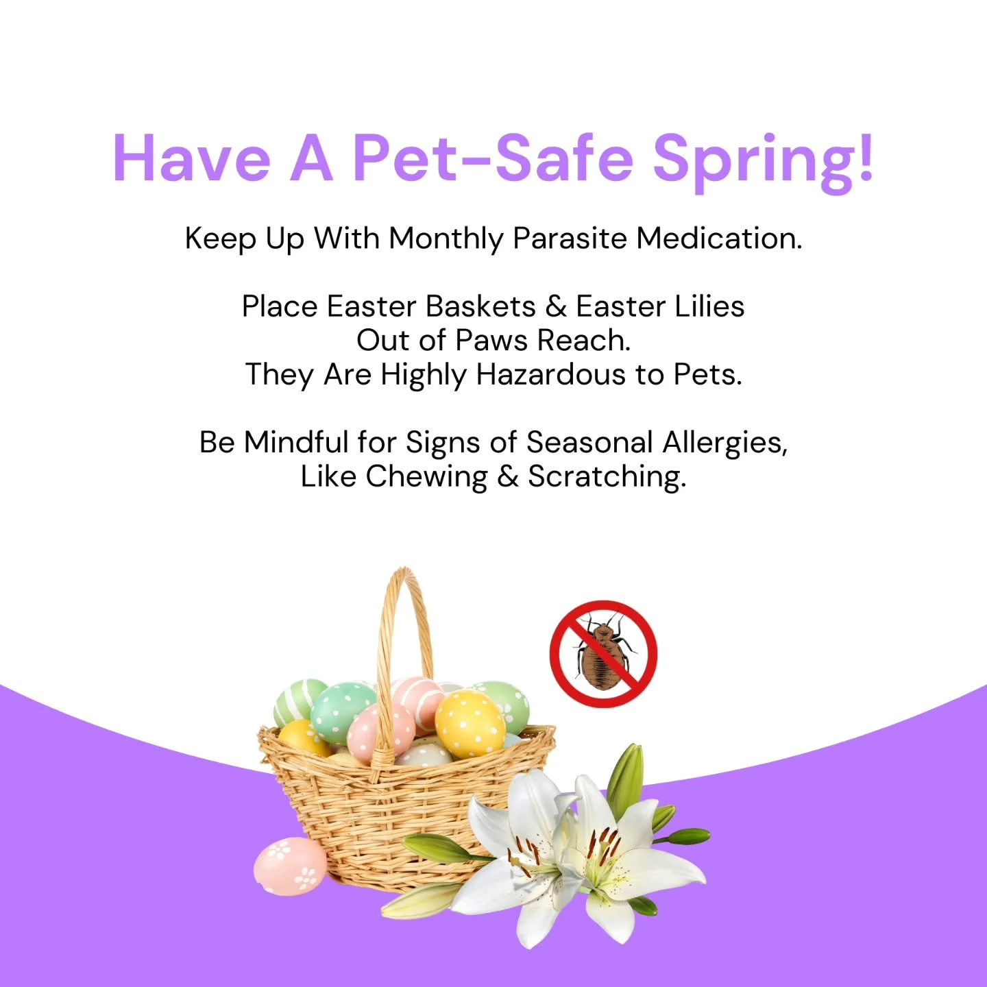 Spring time is here and with it comes warm weather and seasonal risks for pets. Make sure to keep up on monthly preventatives and keep things like candy, Easter baskets and decor out of reach.
#woodburyanimalhospital #woodburymn