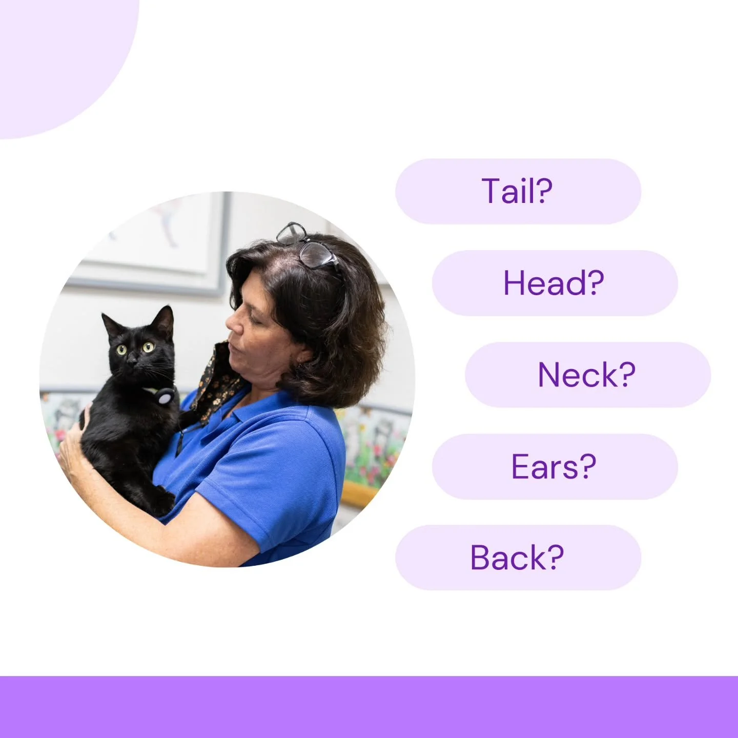 A lot can change in a short time when it comes to our pets. While veterinairans do a thorough exam, checking over your own pet can help catch things that need to be addressed early. Take some time to give your pet a good once over and if you see some