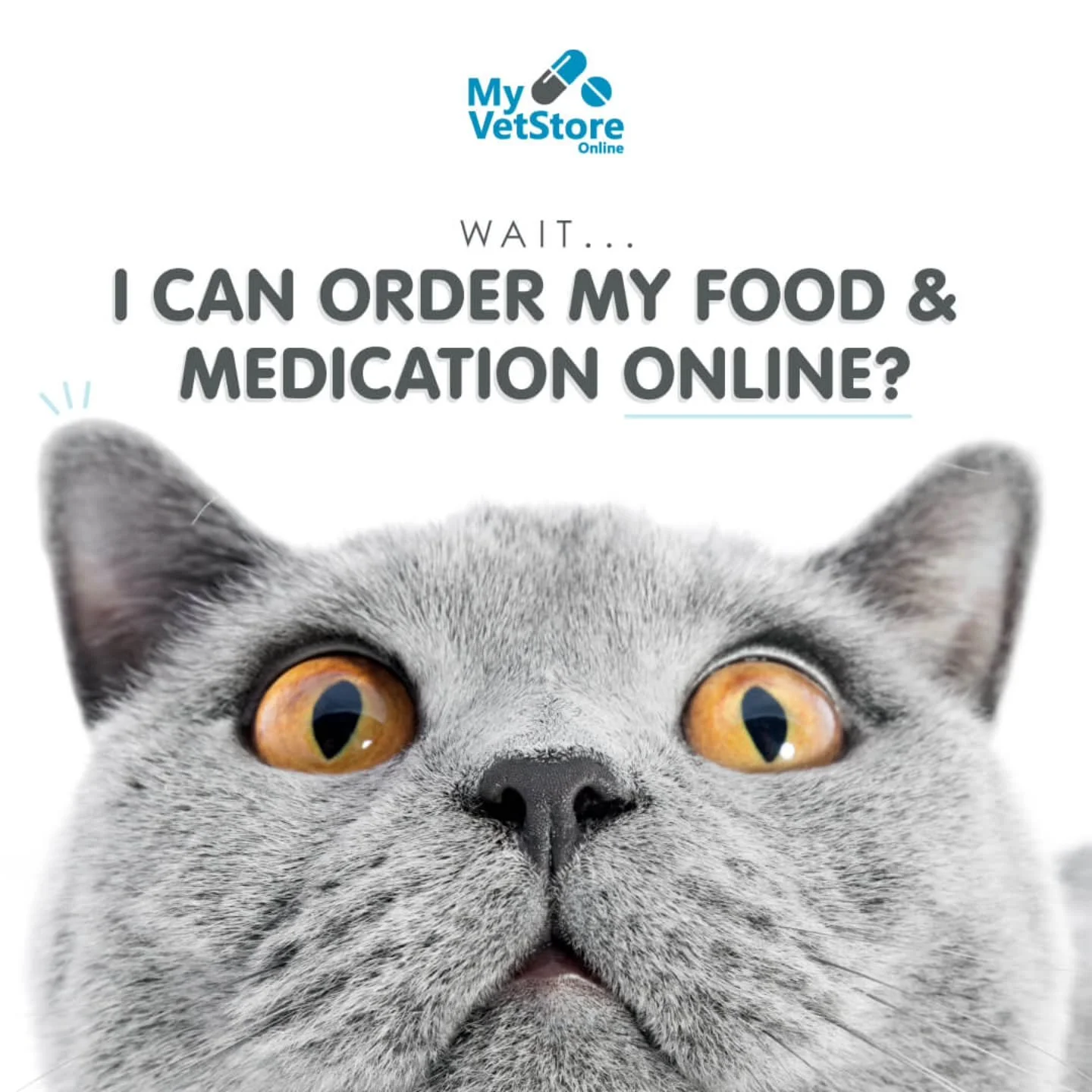 Yes 😱 Ordering your pet&rsquo;s necessities is easy and convenient. Place an order online with the convenience of home delivery! Free shipping on orders over $75!
Get started at&nbsp;&nbsp;https://wah.myvetstoreonline.pharmacy/