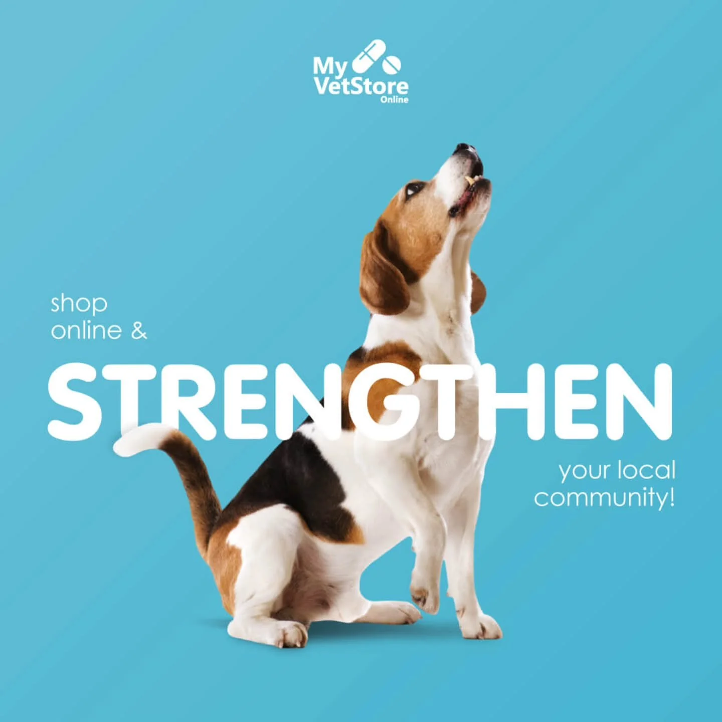 Stock up on your pet&rsquo;s favorites online&mdash;delivered to your door and supporting your local veterinary clinic with every purchase.
👉 Shop now at&nbsp;https://wah.myvetstoreonline.pharmacy/.
#myvetstoreonline #shoplocal #orderonline