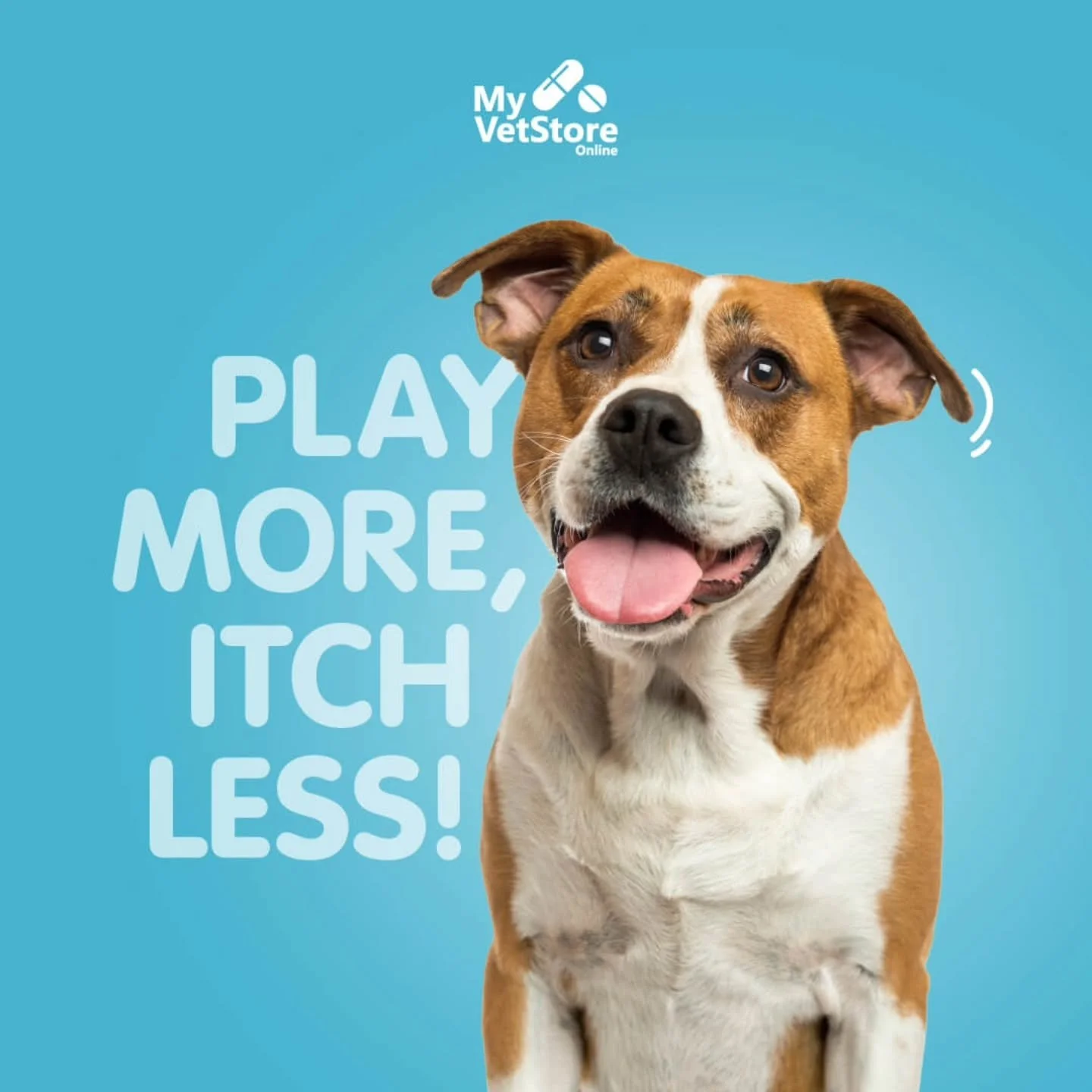 Scratch, scratch... sound familiar? If your pet just can't stop itching, allergies could be to blame. Help them trade the scratching for tail wags and zoomies with the right care.
👉 Shop now at http://wah.myvetstoreonline.pharmacy/.
#myvetstoreonlin