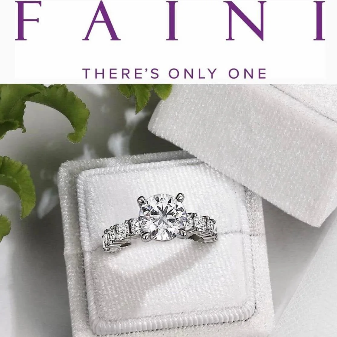 Brides 👰&hellip; Do YOU want to WIN a $1,000 gift certificate from @faini_designs ? ONE LUCK BRIDE will WIN during the Fashion Show a $1,000 to use at their store on whatever you choose! Who doesn't need a little bling! PLUS, Faini is giving away FR