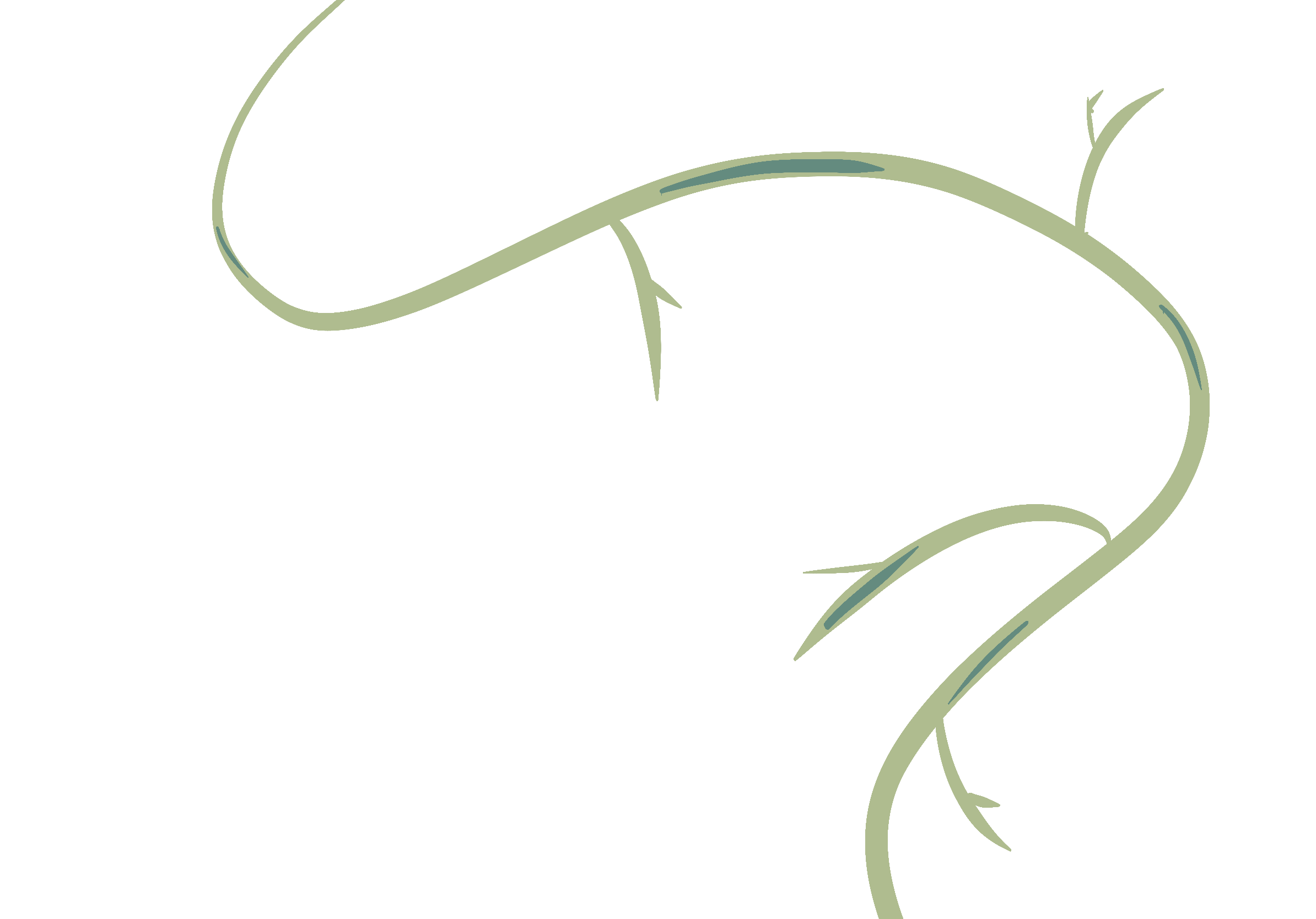 Connecticut River Acupuncture