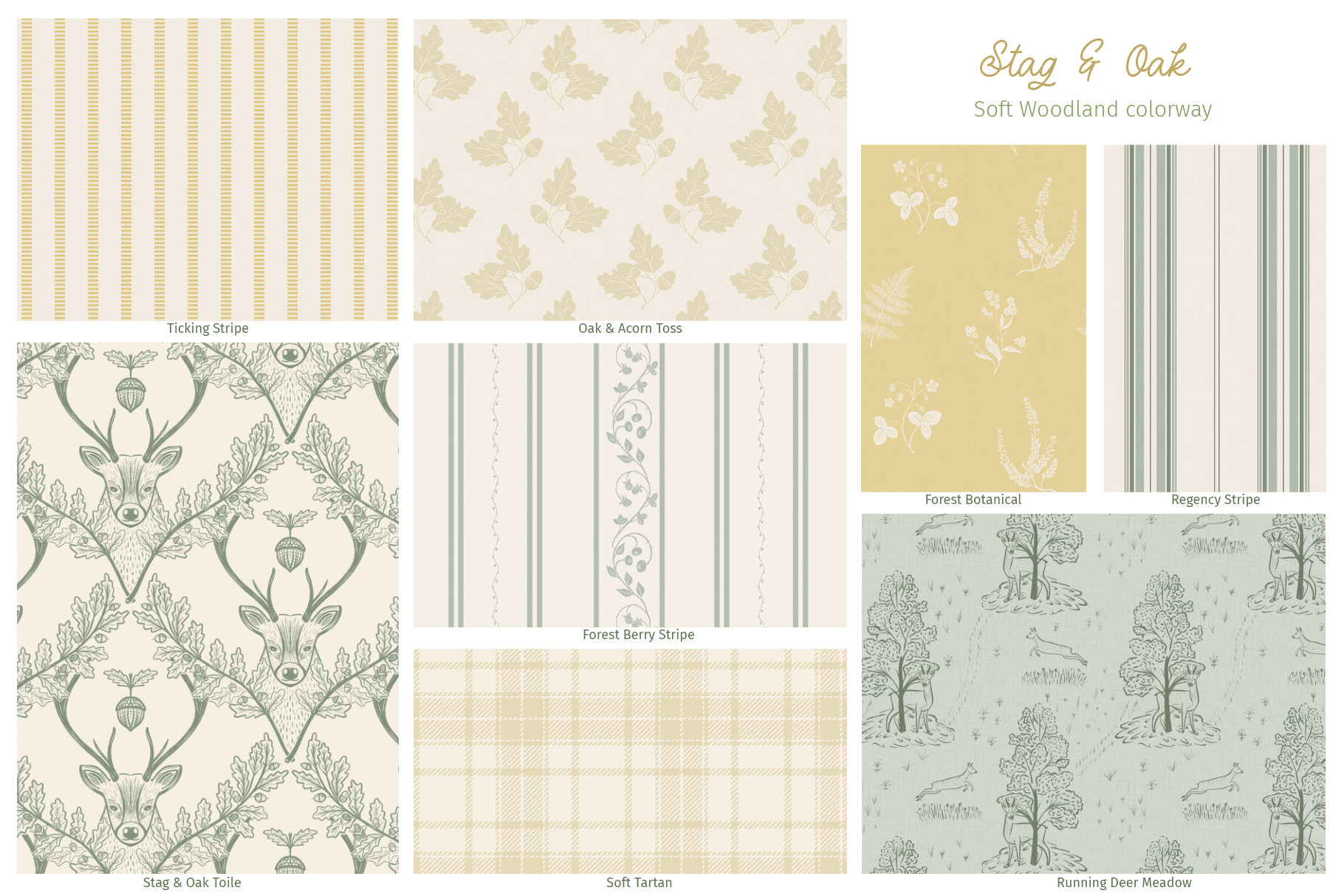 8_Soft Colorway.png