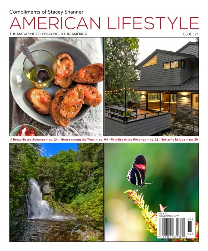 Cover of 'American Lifestyle' magazine issue 127 featuring four images: bruschetta on a plate, a modern house among trees, a scenic waterfall, and a butterfly on a flower.