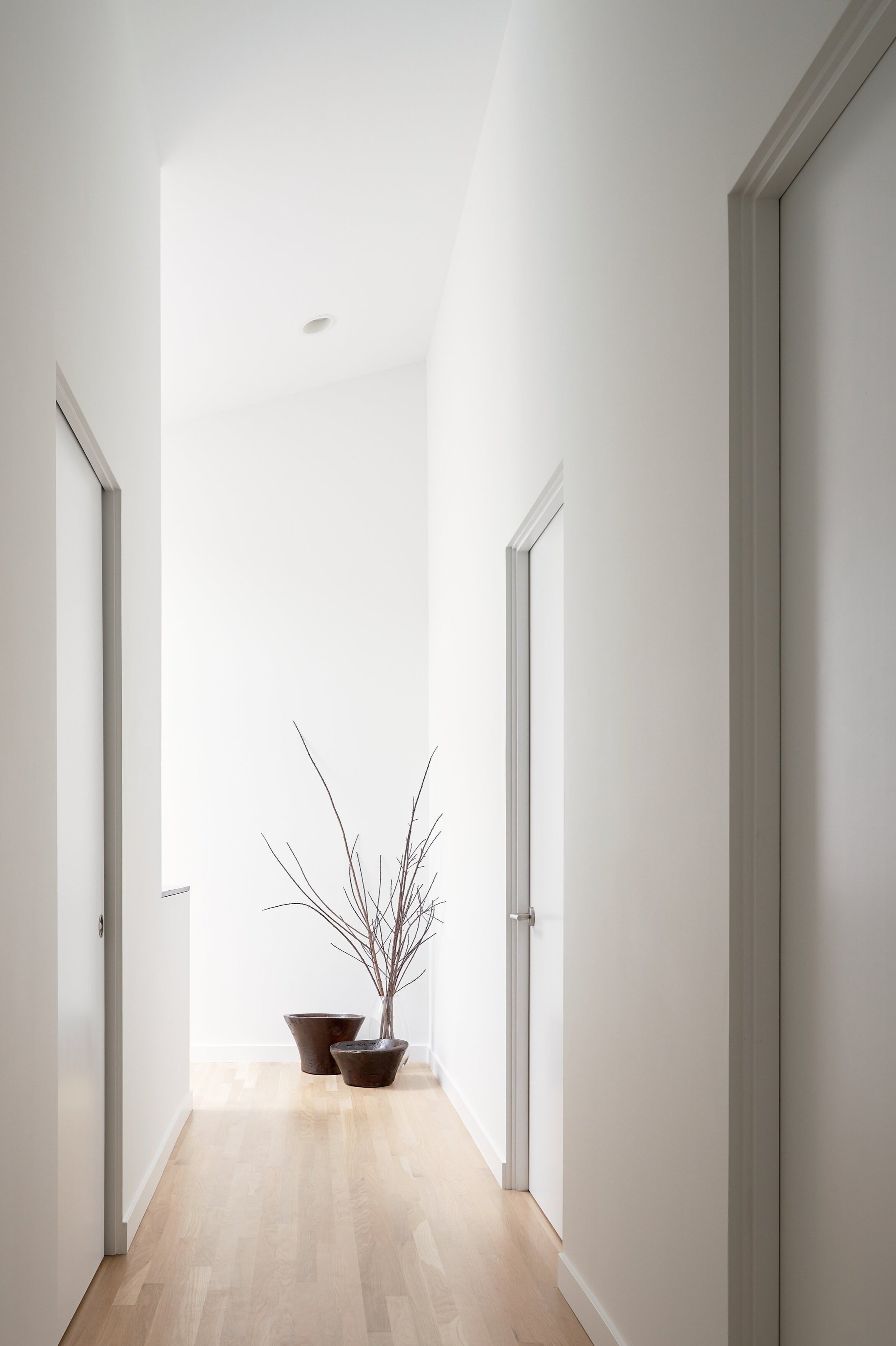 Minimalist hallway with white walls and wooden floor, featuring potted branches at the end.