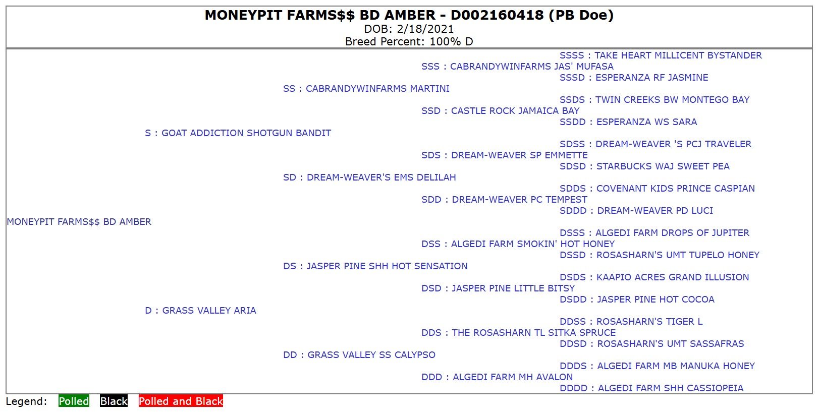 A detailed pedigree chart for a goat named MONEY PIT FARMS $$ BD AMBER, born February 18, 2021, showing its lineage, health and breed information, with a legend indicating polled, black categories.