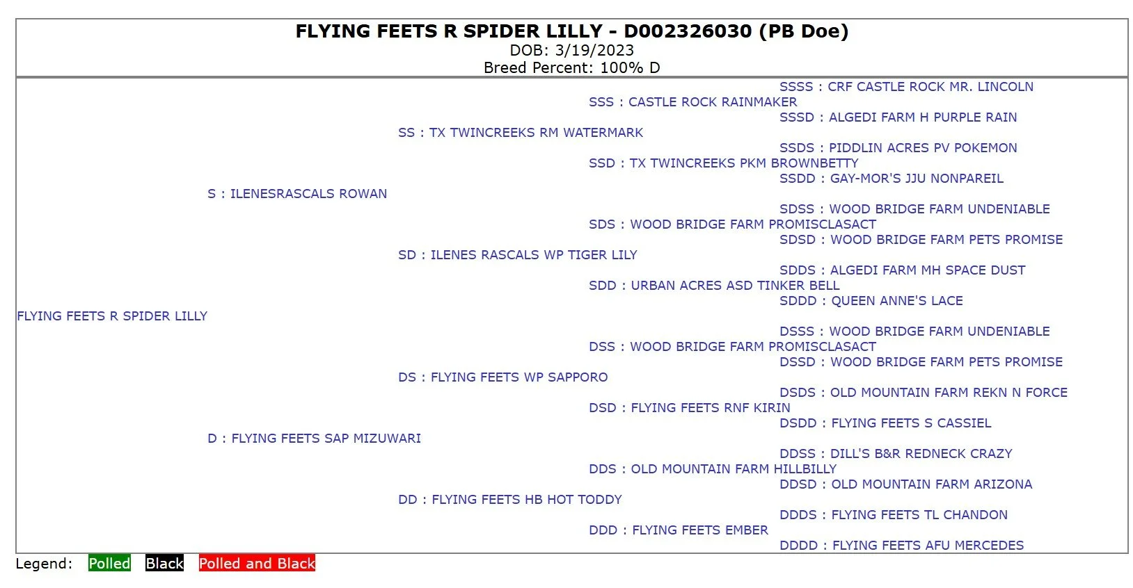 A pedigree chart for a goat named Flying Feets R Spider Lilly, with details including date of birth, breed percentage, and a list of related goats with their names and identifiers.