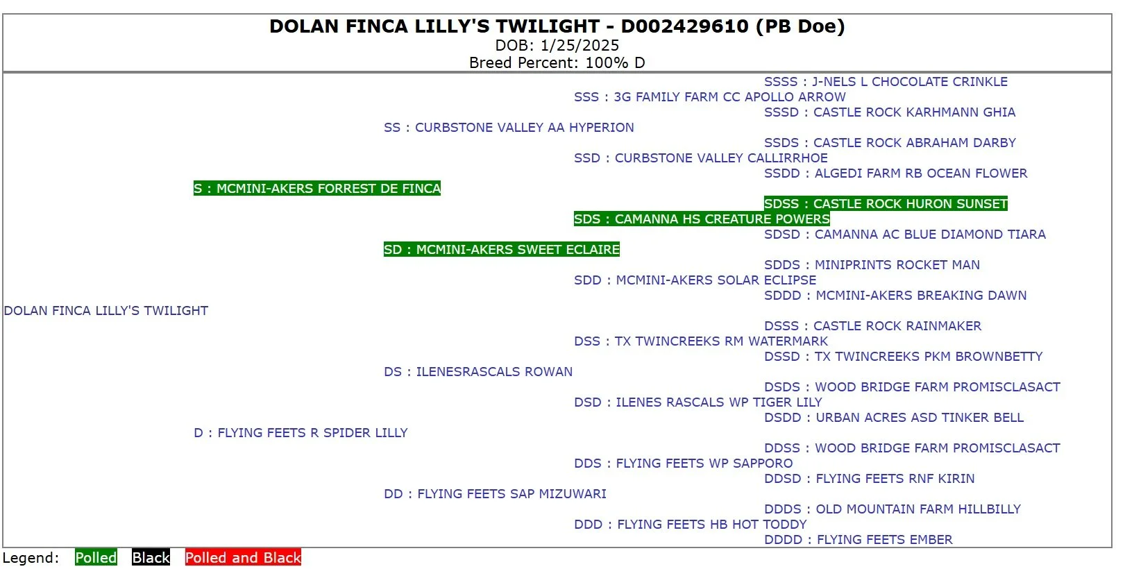 A pedigree chart for a Nigerian Dwarf goat named Dolan Finca Lilly's Twilight, born on January 25, 2025, showing lineage with various ancestors, color-coded with green, black, and red indicating the goat's health and polled status.