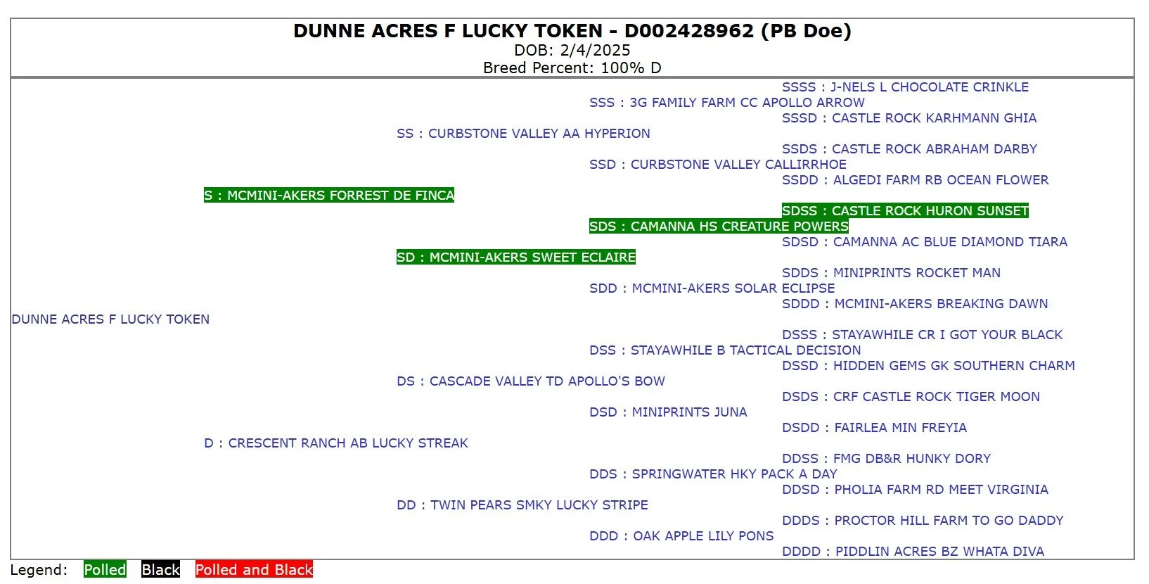 A chart displaying a  pedigree for a  named Dunne Acres F Lucky Token, born February 4, 2025. The chart includes various lineage details with names, abbreviations, and color-coded labels indicating health status: Polled in green, Black in black, and Polled and Black in red.