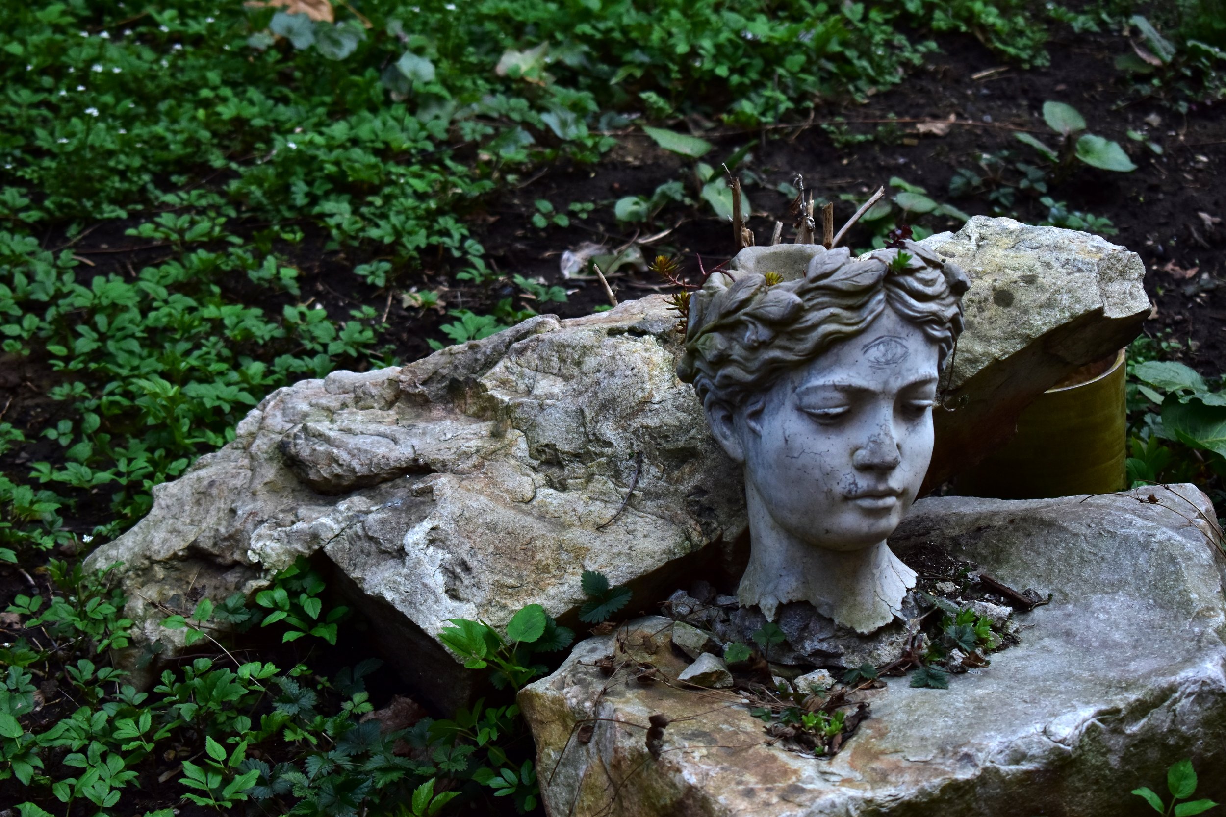 lady head.jpg