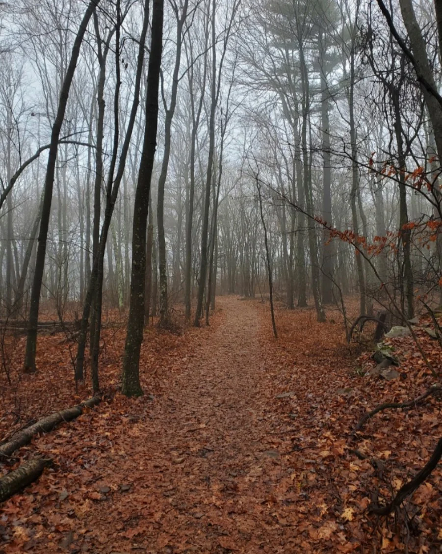 PA Winter 6.jpg