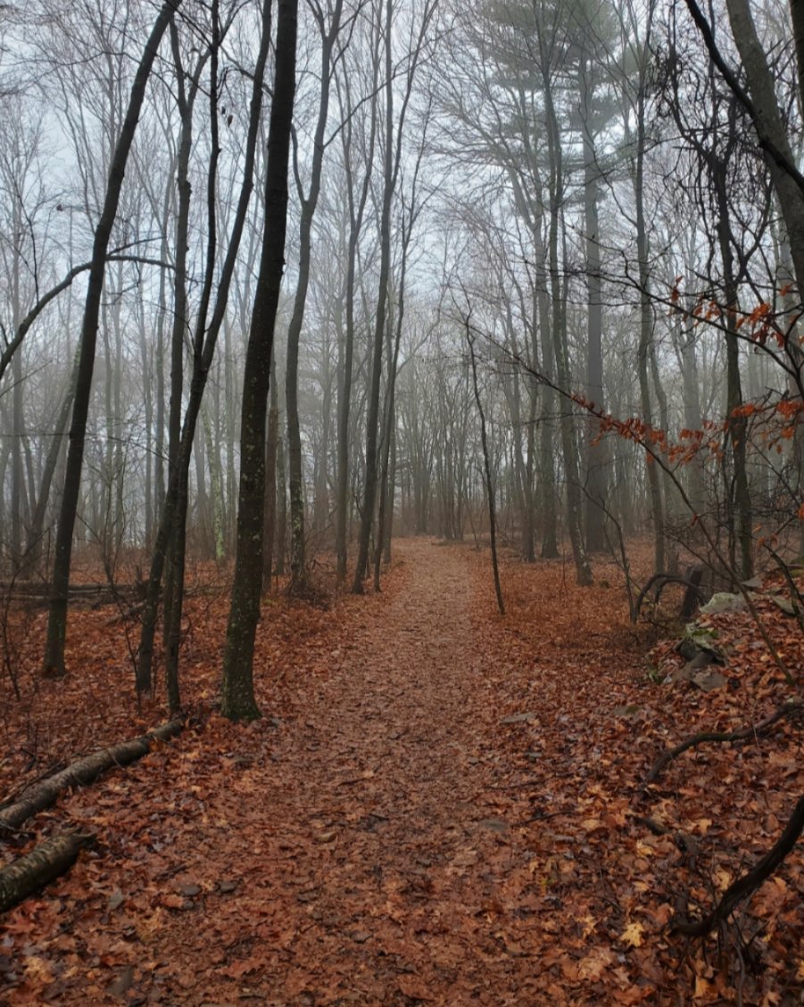 PA Winter 6.jpg