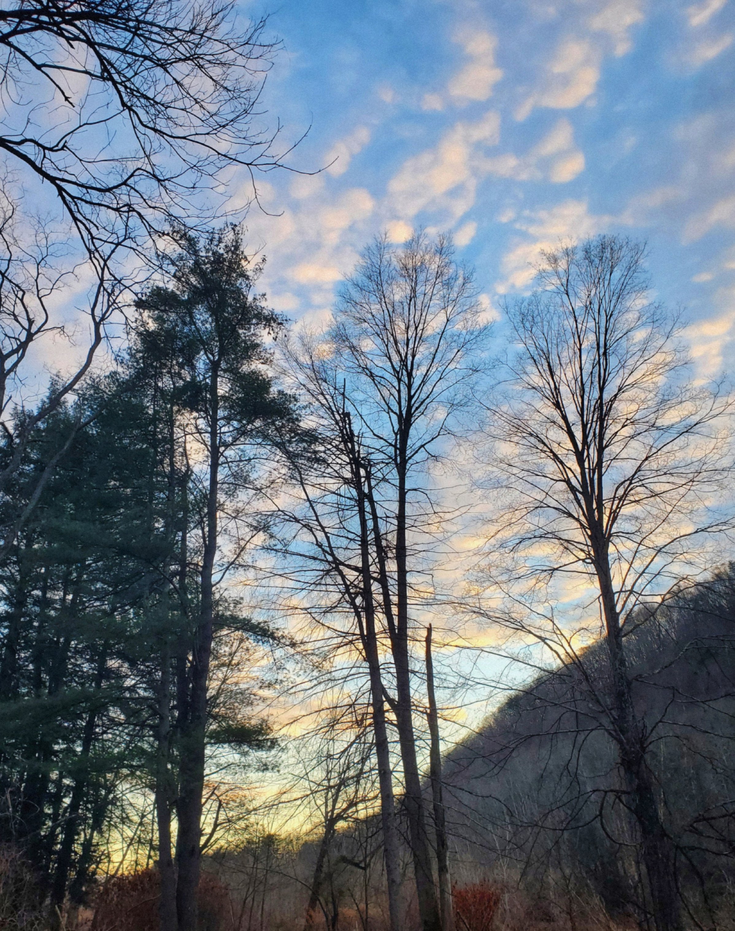 PA Winter 9.jpg