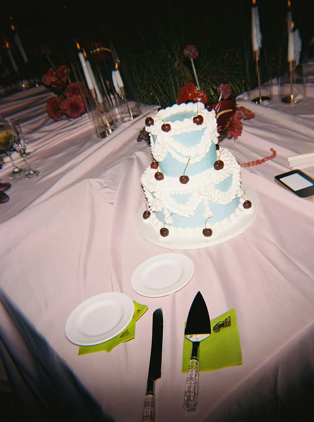paigeandsam-dinner-46.jpg