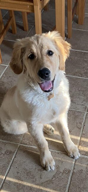 Molly smiling.jpeg