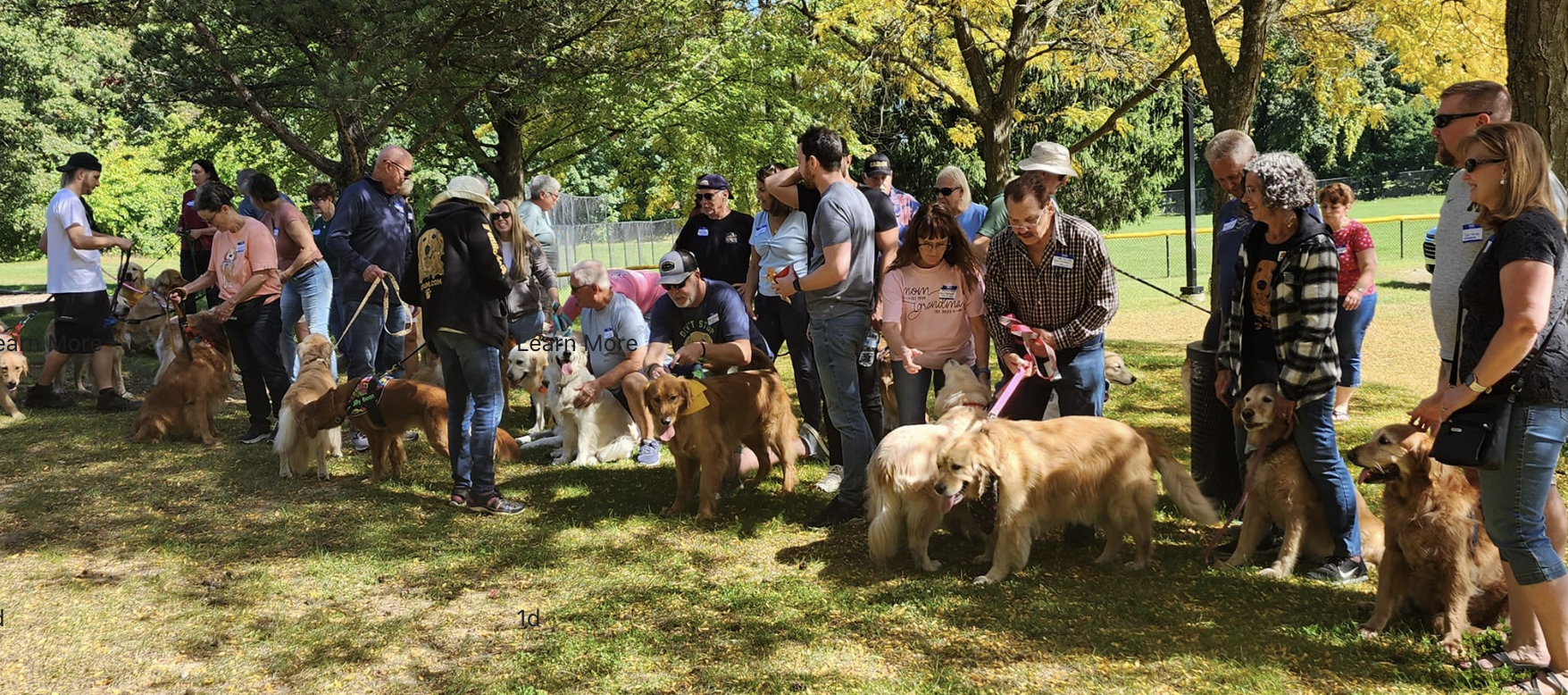 GRRoM Picnic Turnout.png