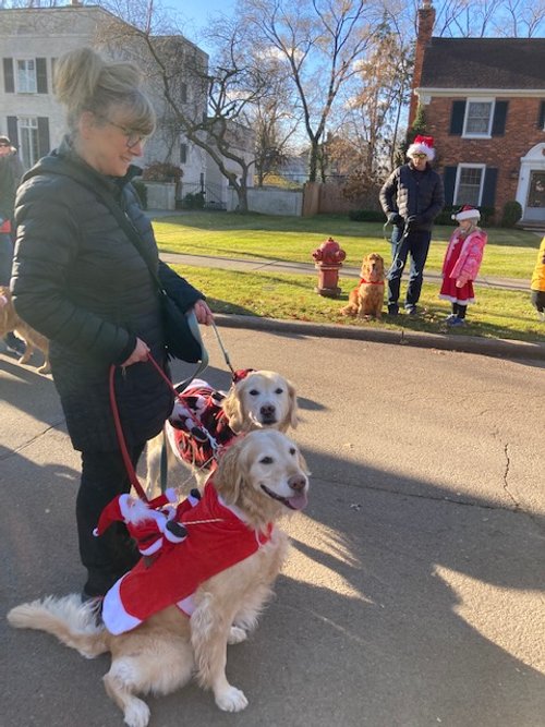 Santa Parade Dressed Up Goldens.jpeg