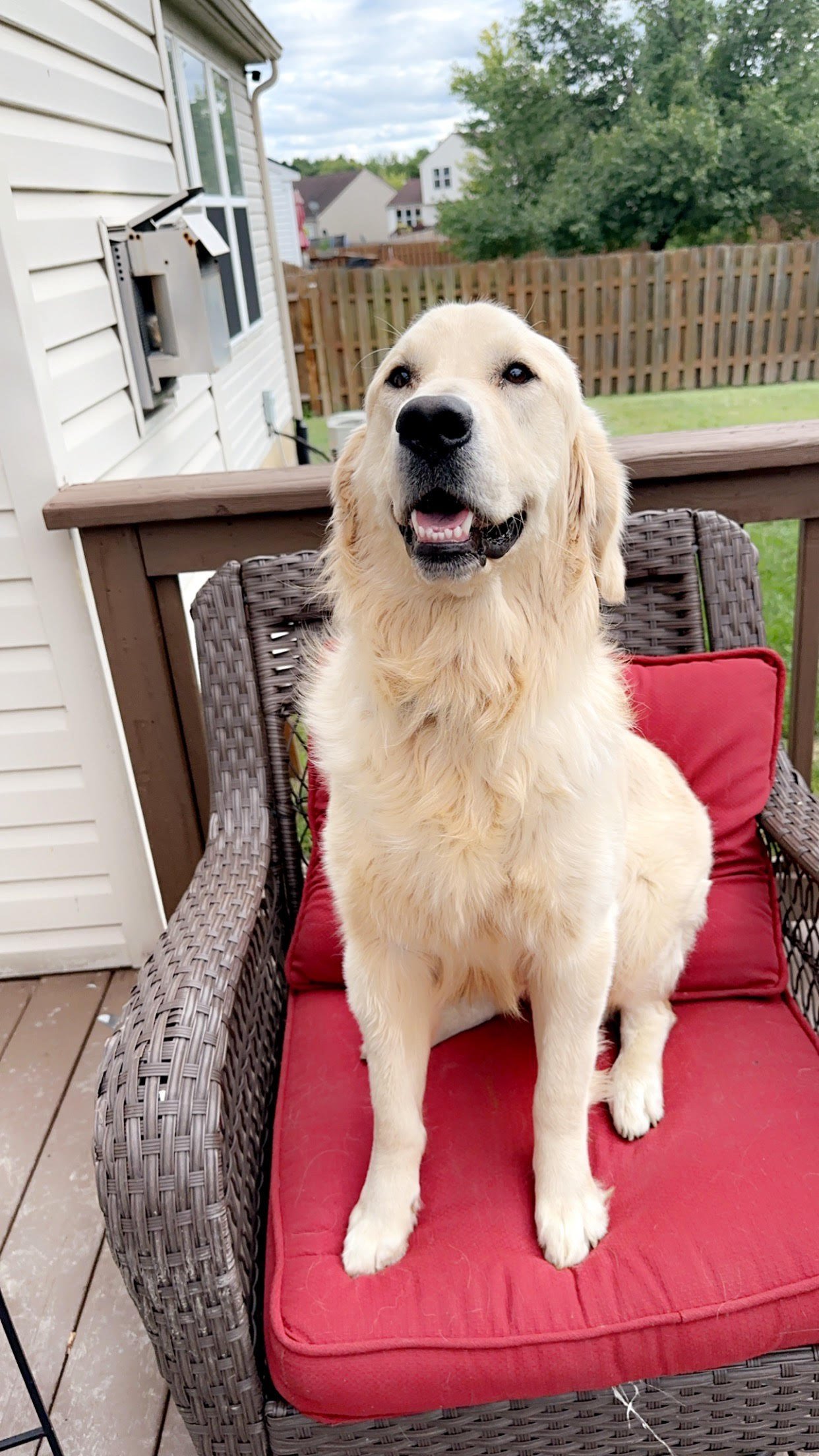 Cooper R.jpeg
