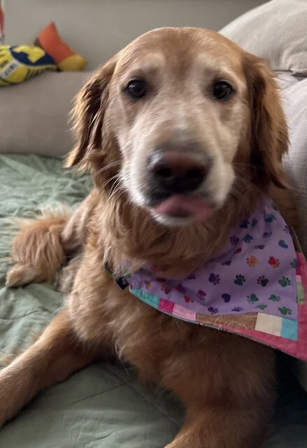 Greta pic 3.jpeg