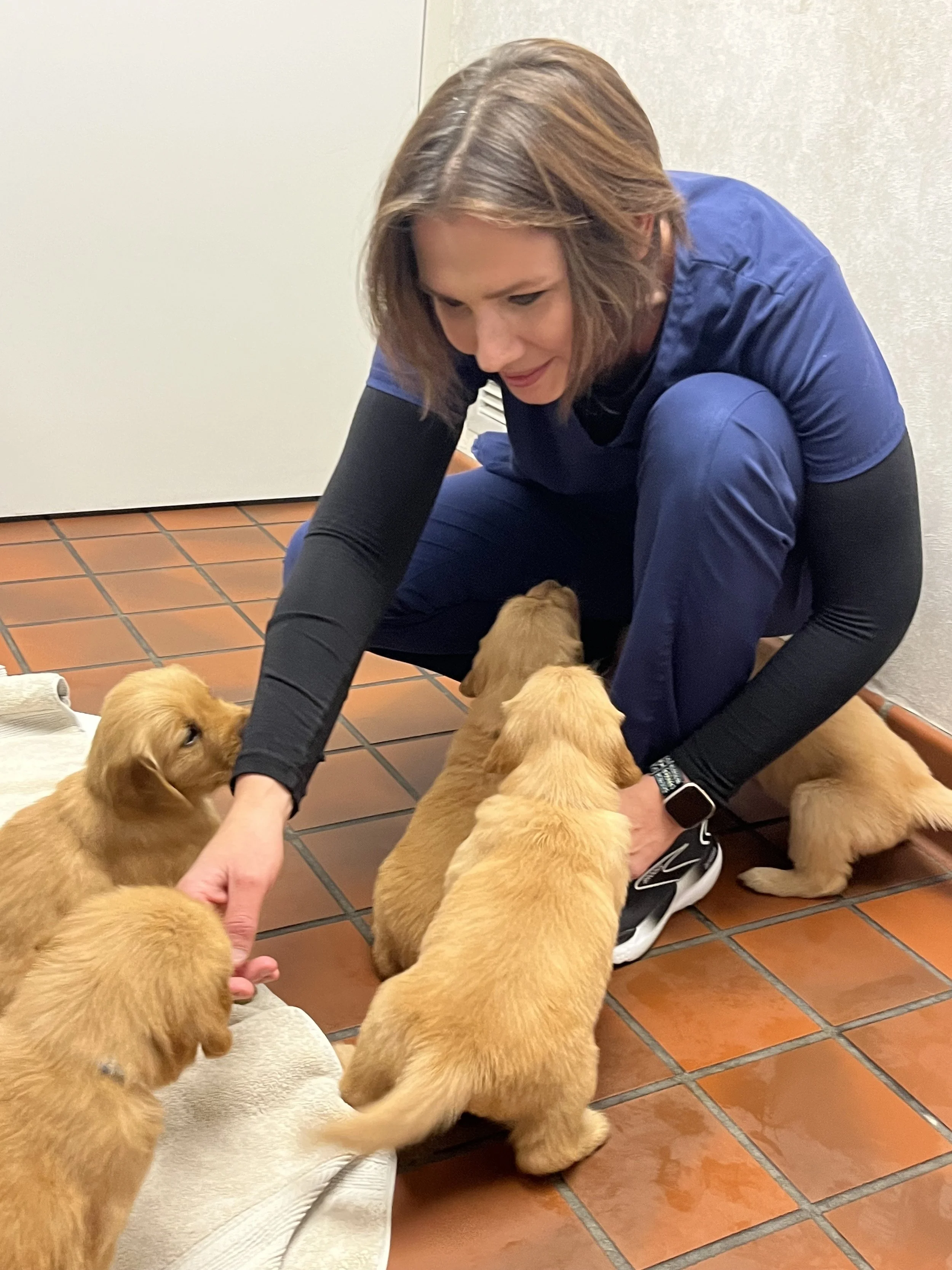 Daisy pups 7.jpeg