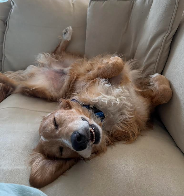 Rusty