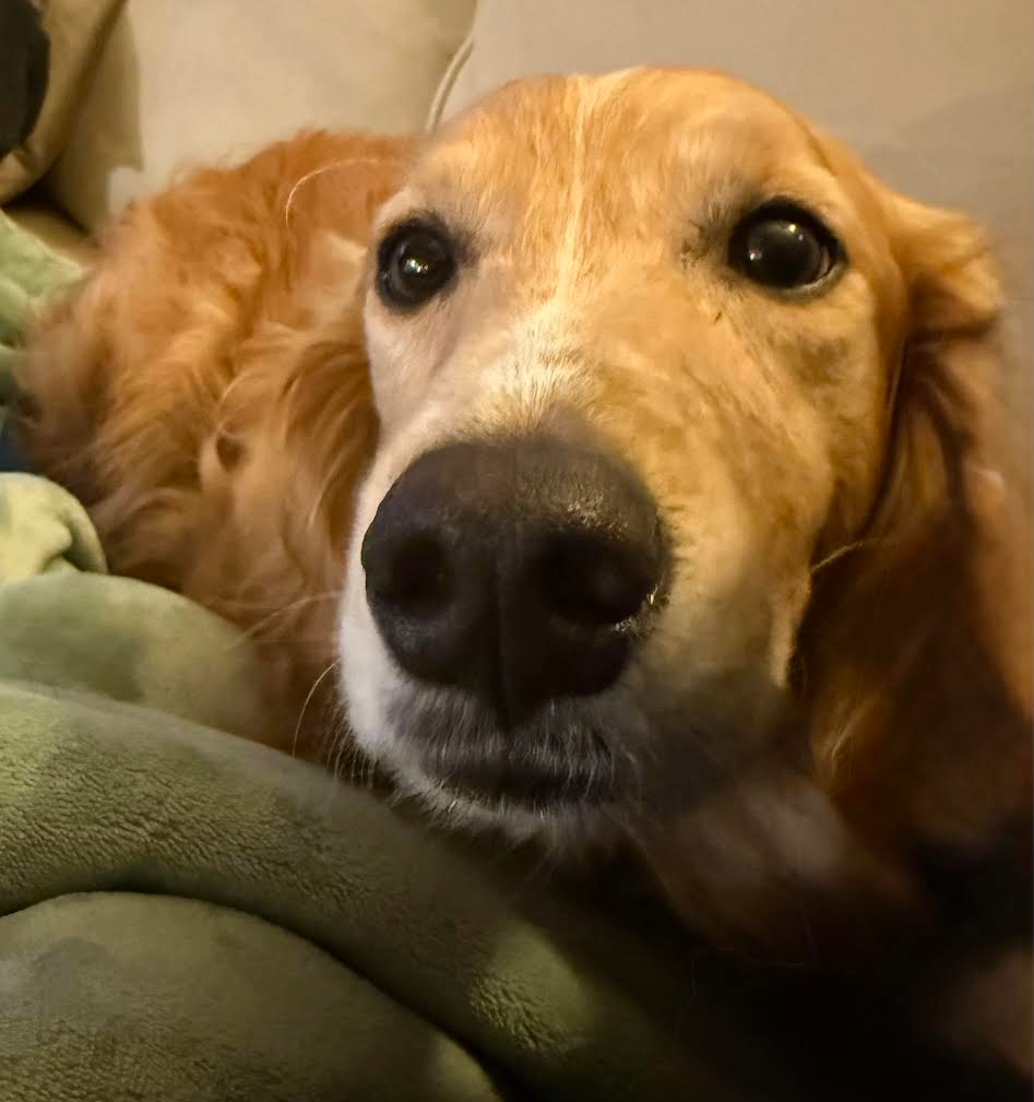 Rusty 3.png