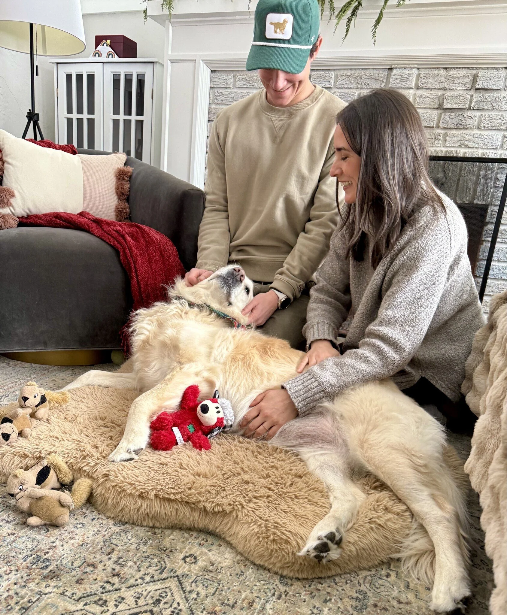 Bailey B adoption 3.jpeg