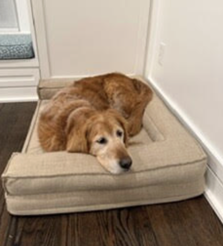 Screenshot 2026-02-07 at 3.58.24 PM.png