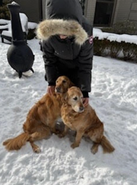 Diesel and Shelby.png