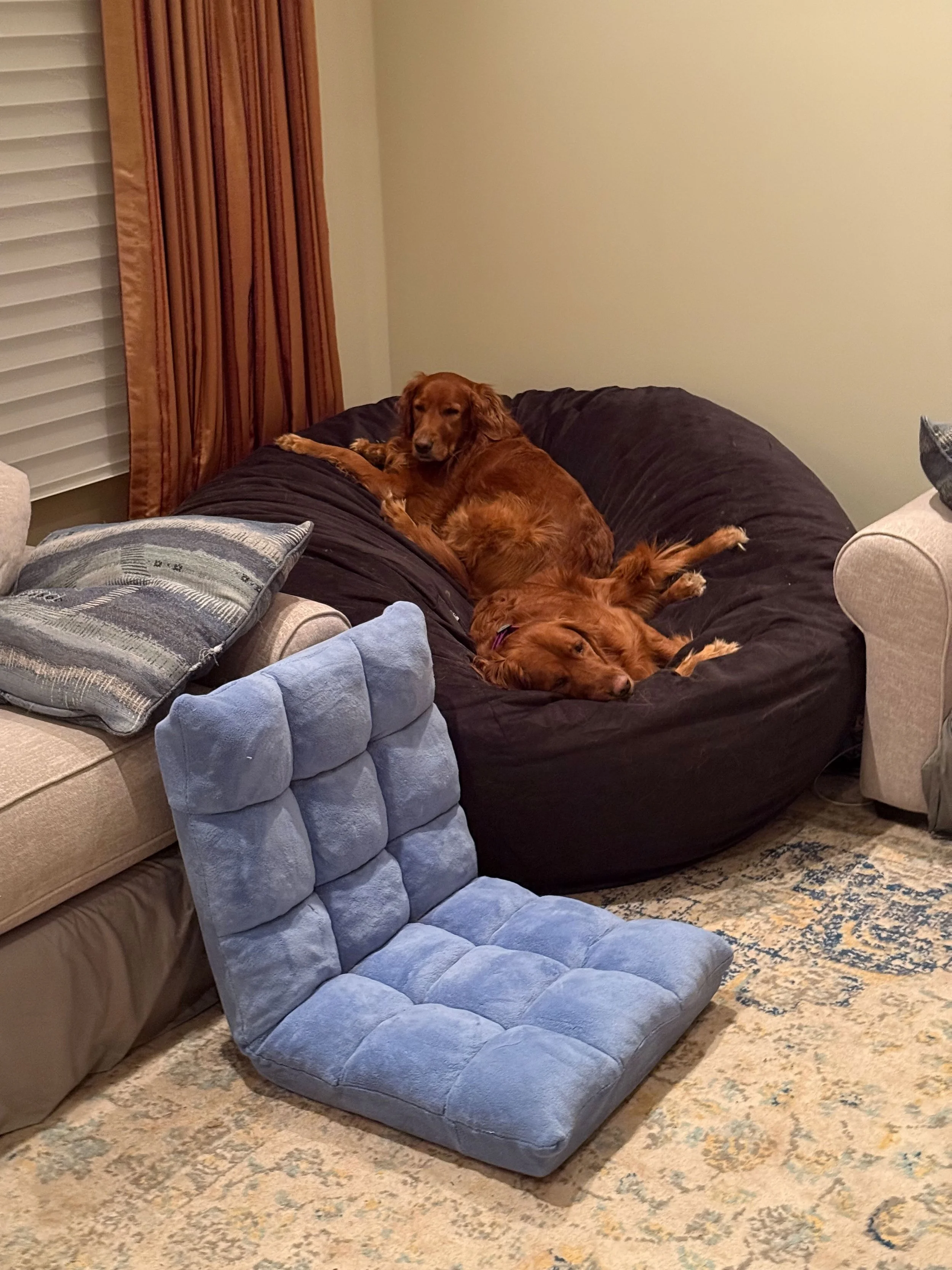 Nala and Kona pic 2 .jpeg