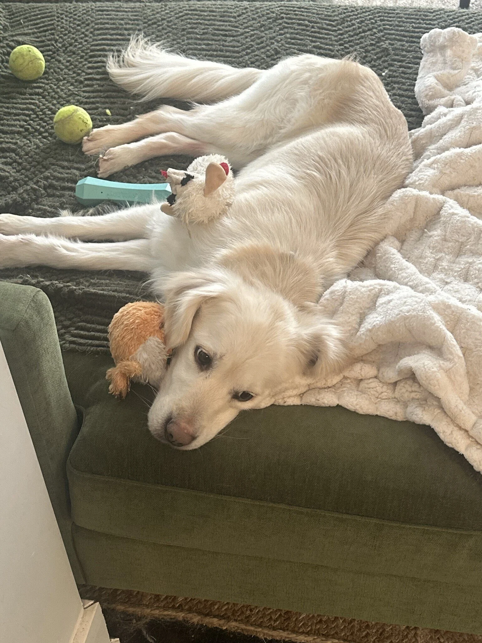 Maysoon pic 2 (1).jpeg