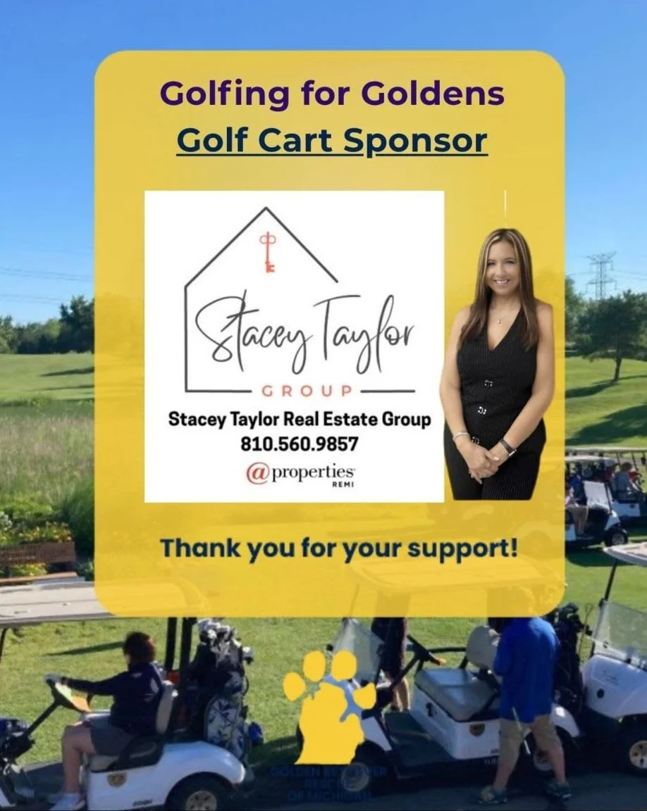 Stacey Taylor.jpg