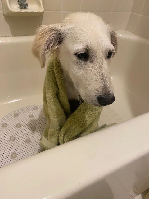 Winter in tub.jpeg