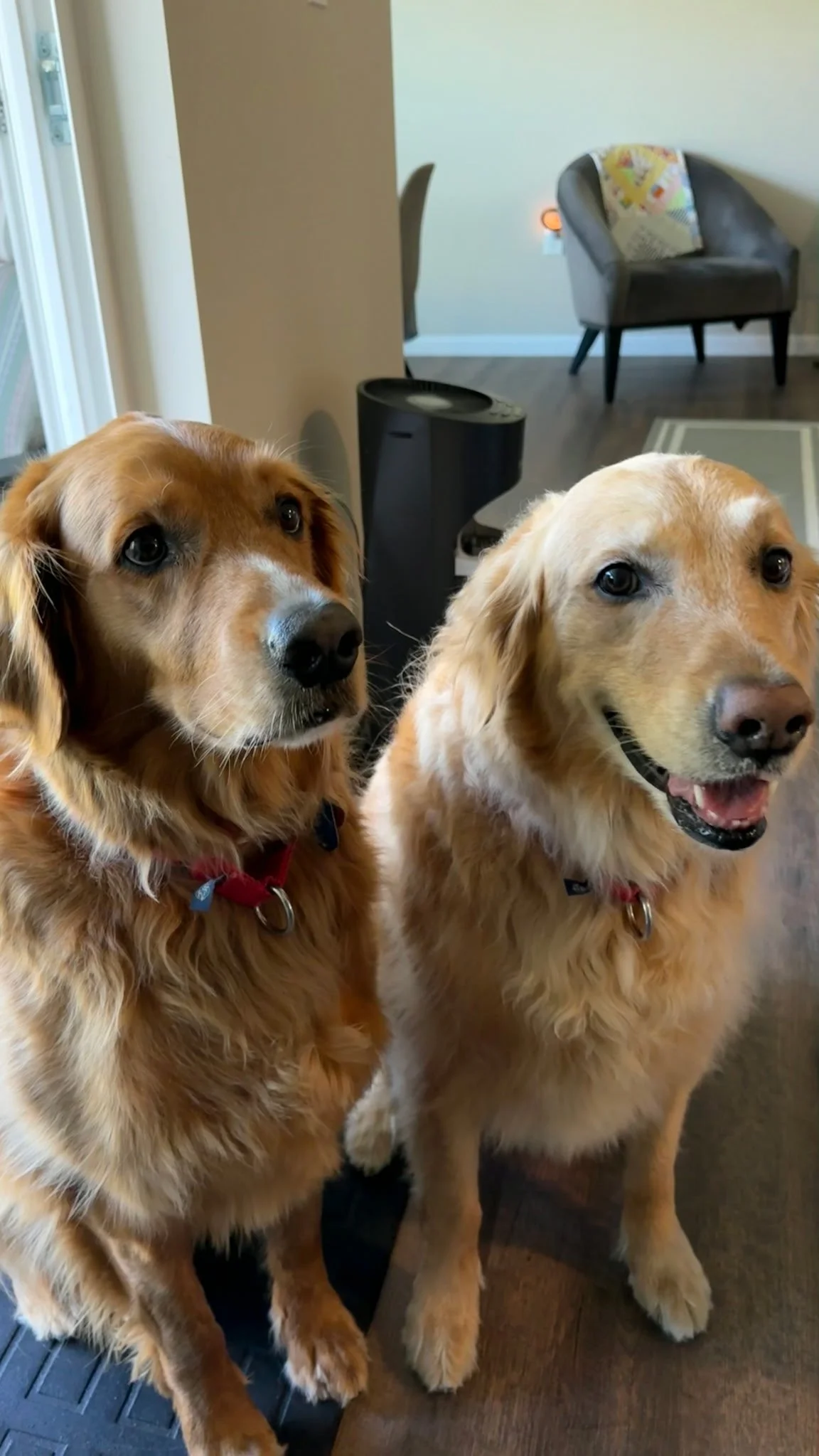 Charlie and Noah